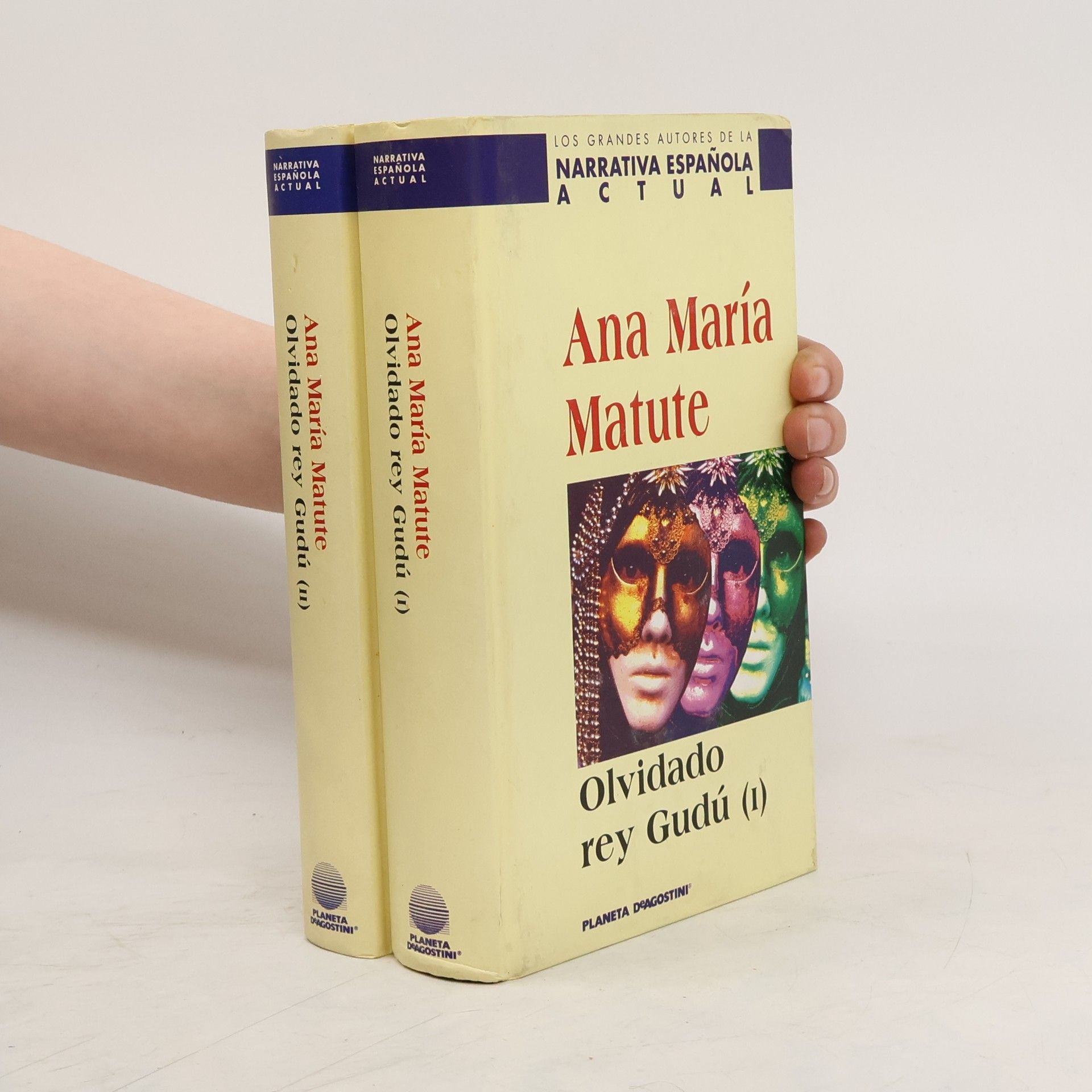 Ana María Matute Los grandes autores de la narrativa española actual - 1: Olvidado Rey Gudú