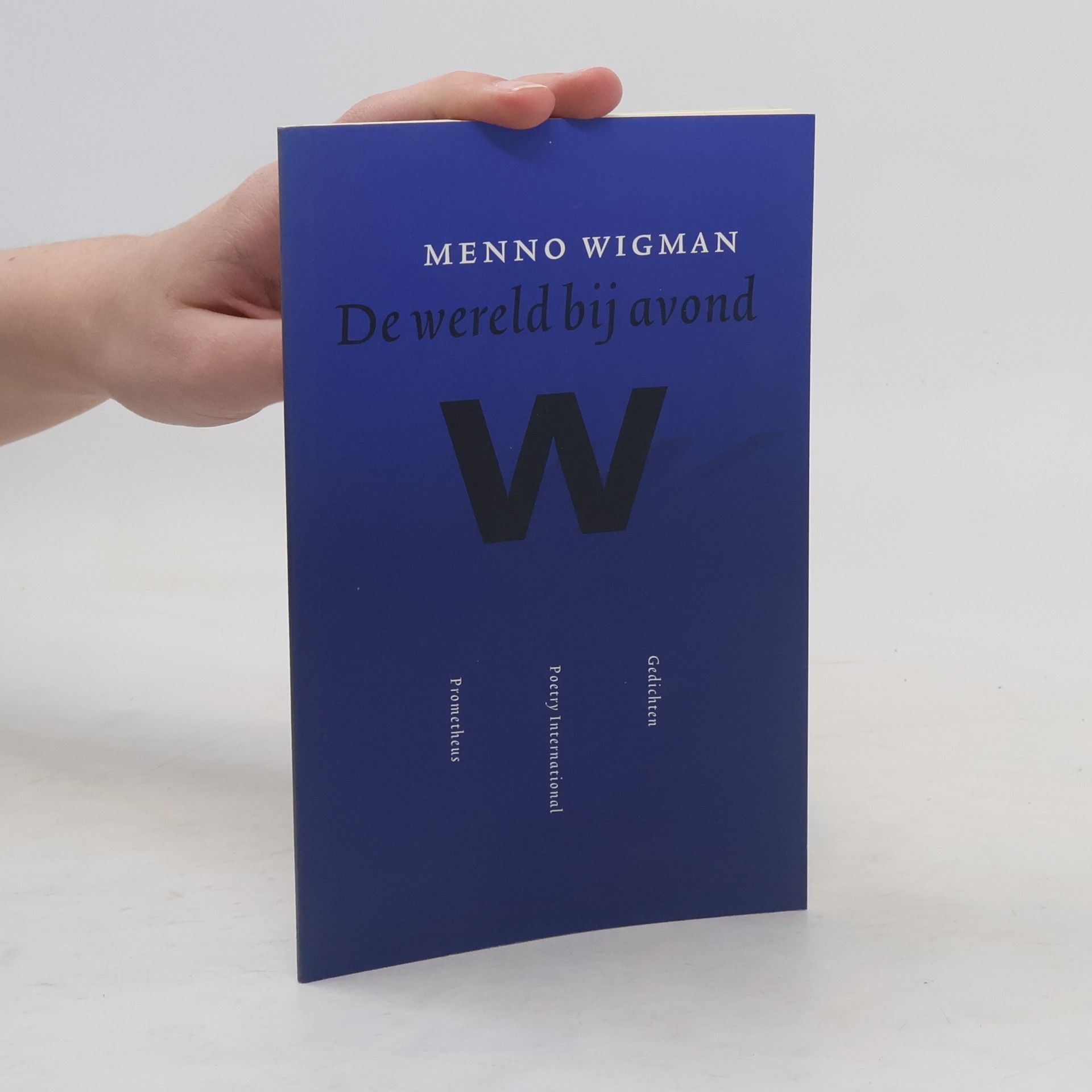 Menno Wigman De wereld bij avond