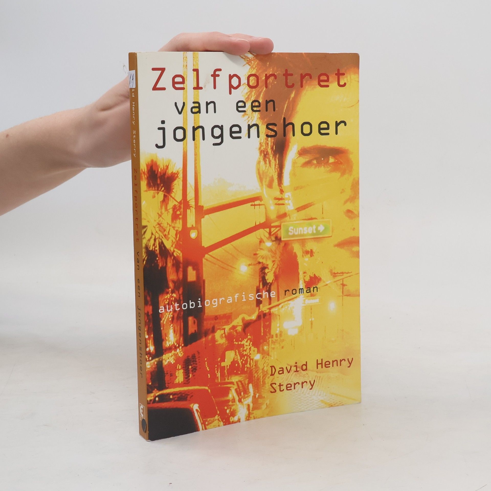 David Henry Sterry Zelfportret van een jongenshoer