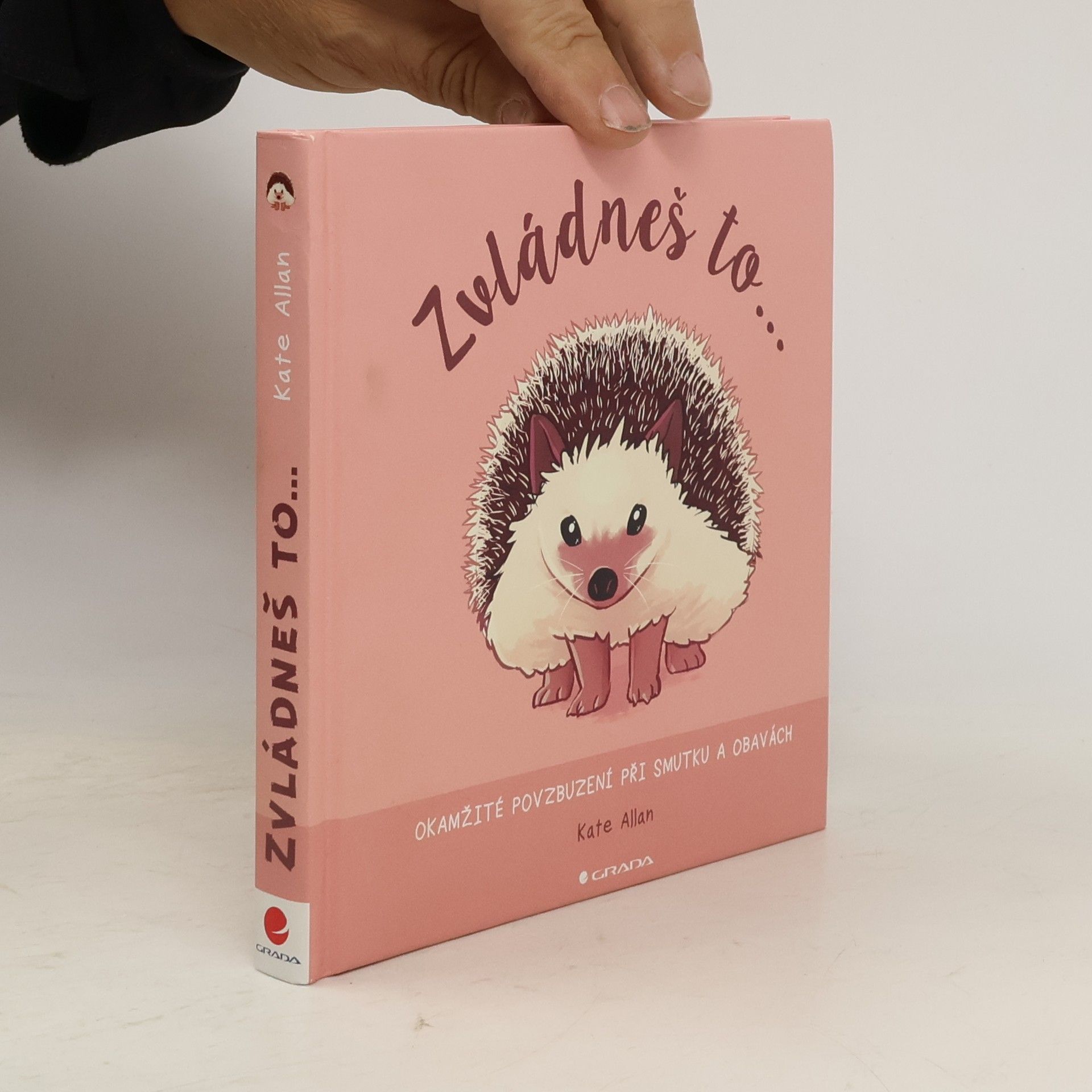 Kate Allan Zvládneš to... Okamžité povzbuzení při smutku a obavách