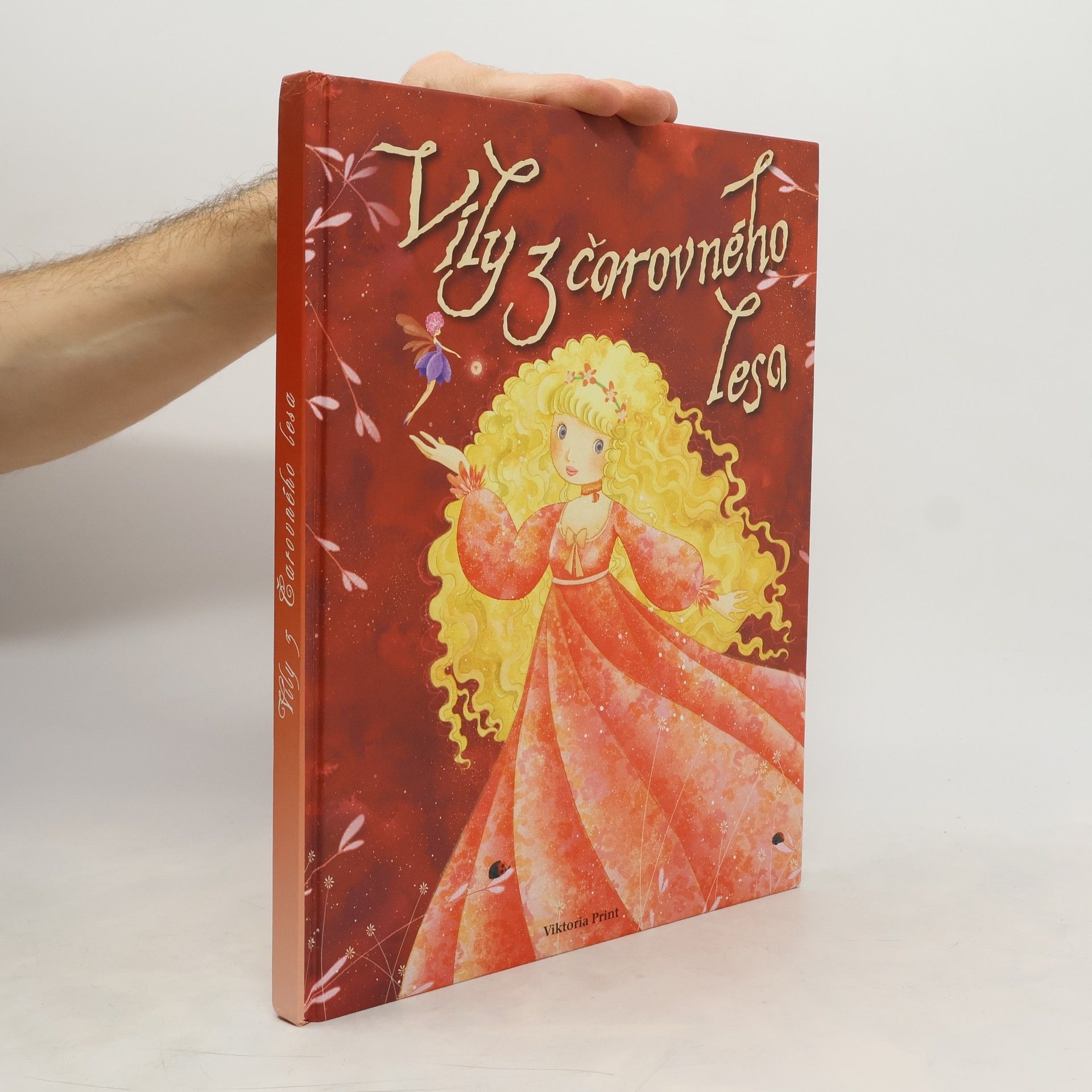 Collectif d'auteurs Víly z čarovného lesa