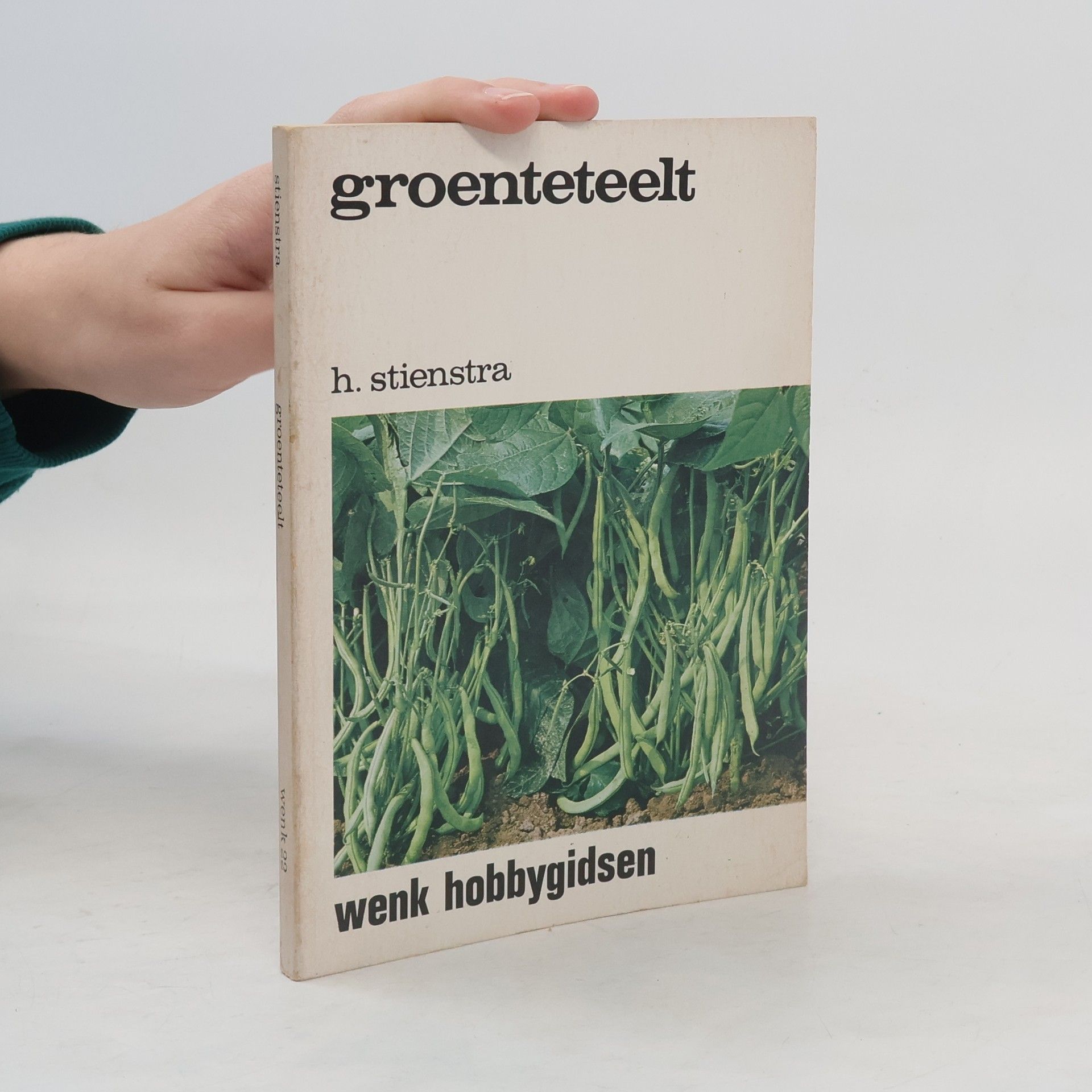 H. Stienstra Groenteteelt