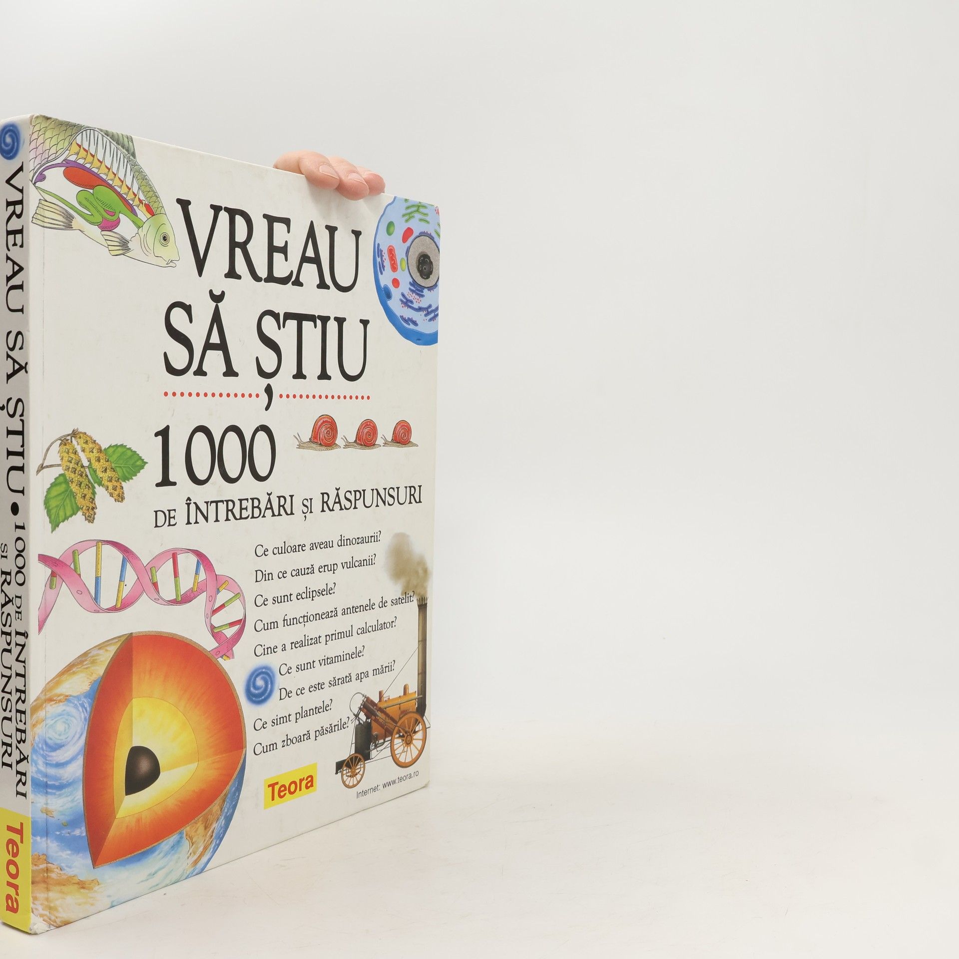 Various authors 1000 de intrebari si raspunsuri