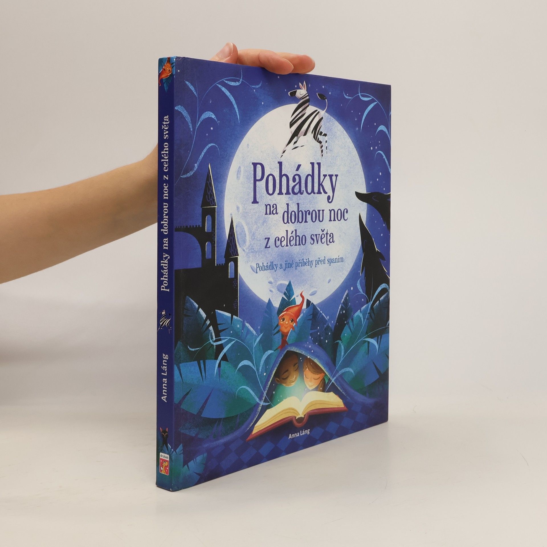 Auteurscollectief Pohádky na dobrou noc z celého světa