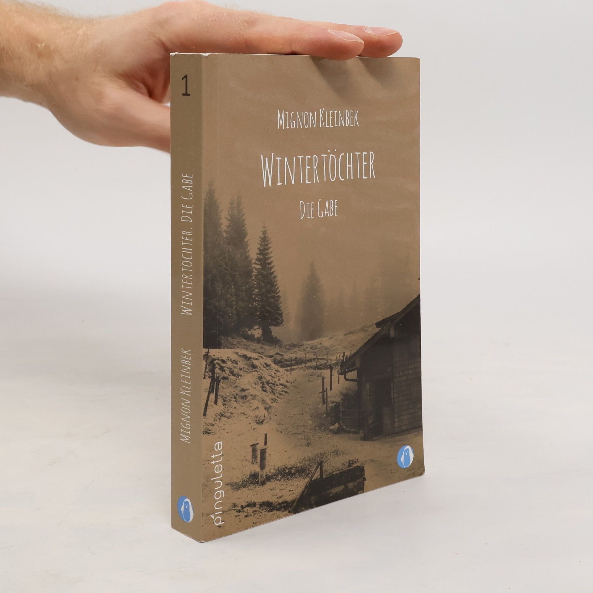Mignon Kleinbek Die Gabe
