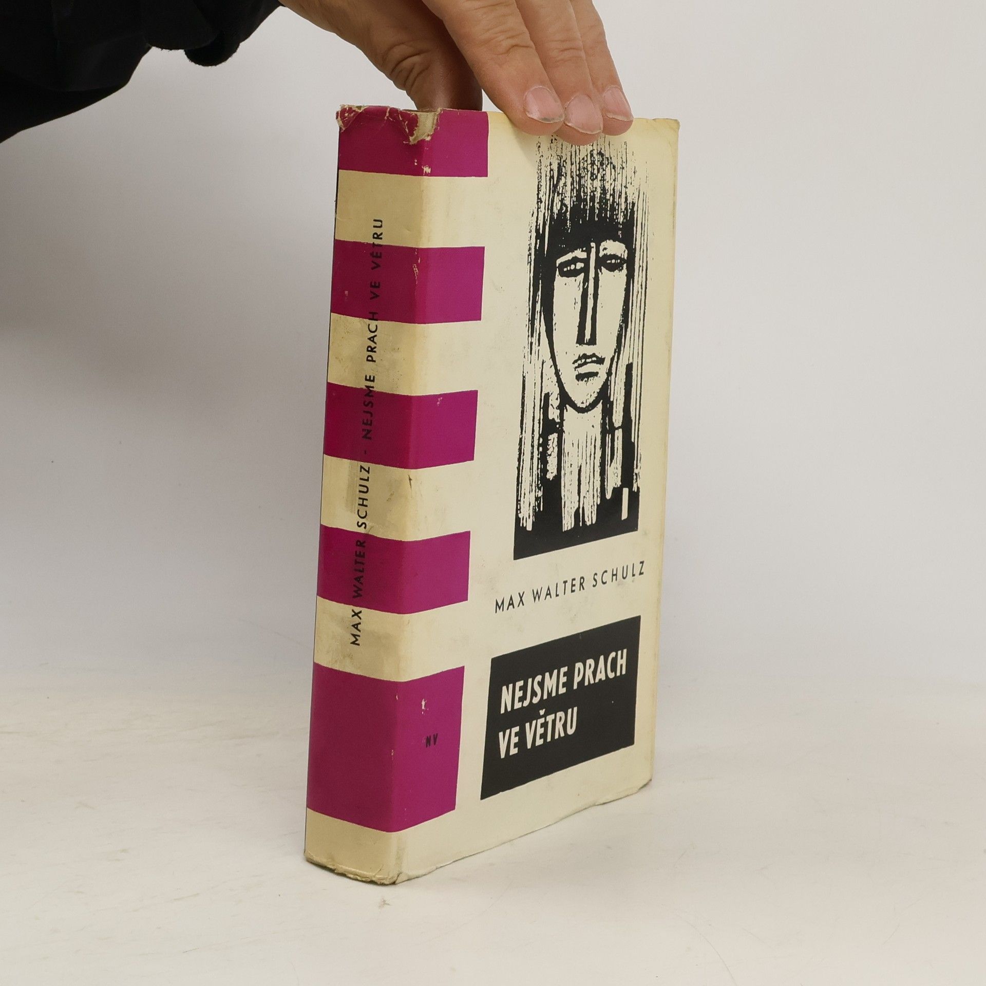 Max W. Schulz Nejsme prach ve větru