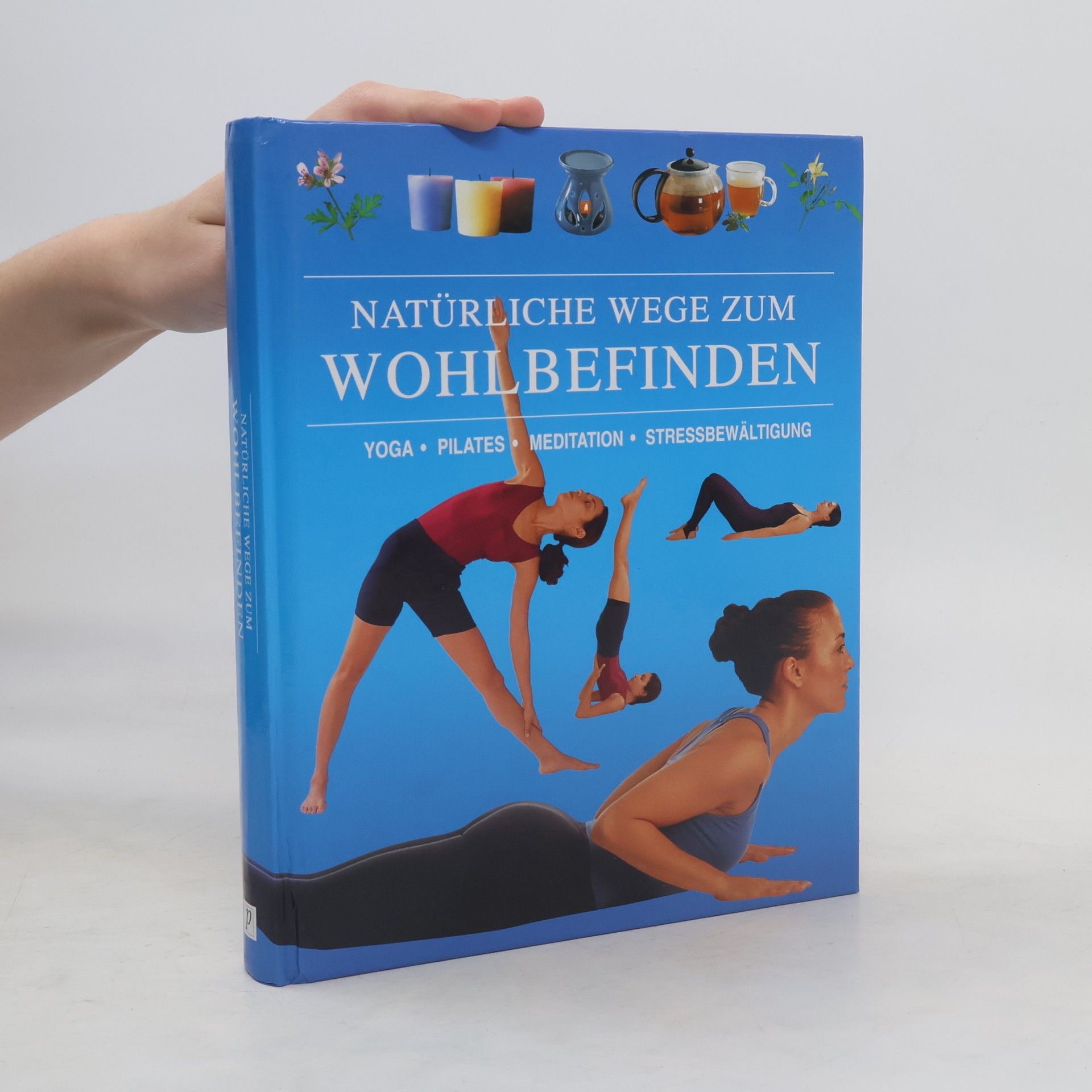 Kolektív autorov Natürliche Wege zum Wohlbefinden