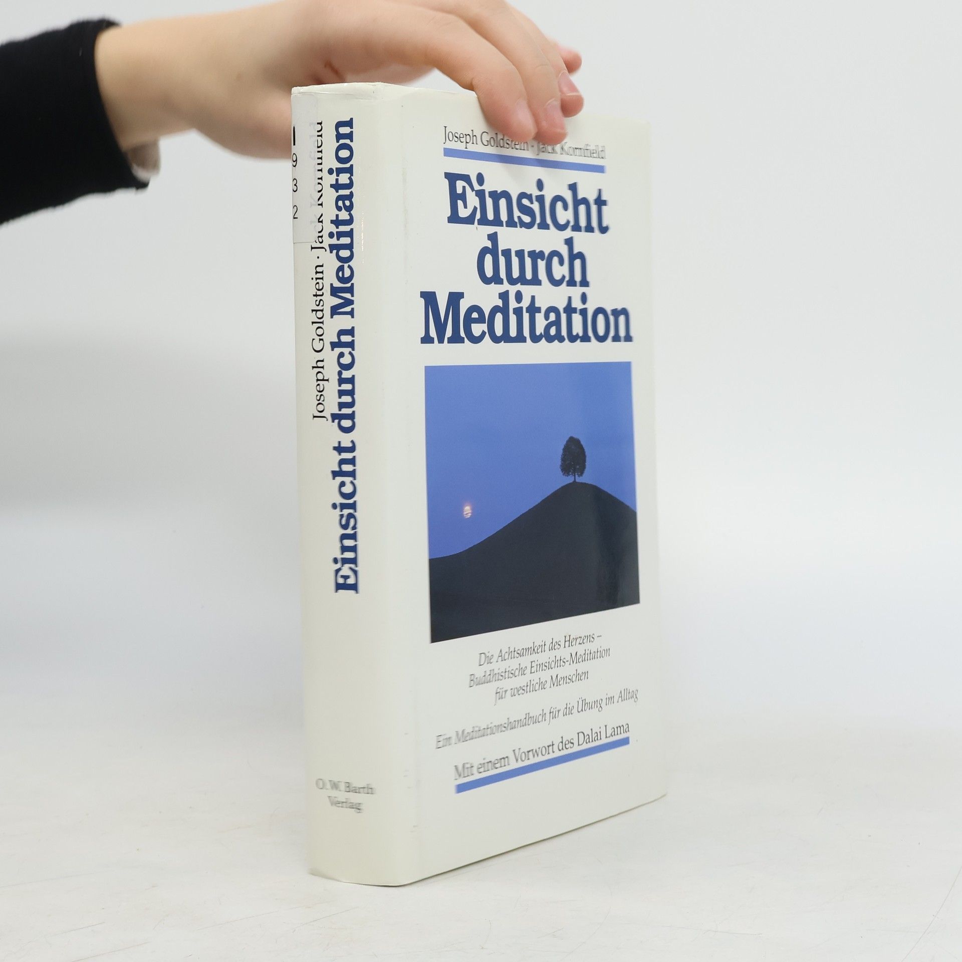 Einsicht durch Meditation