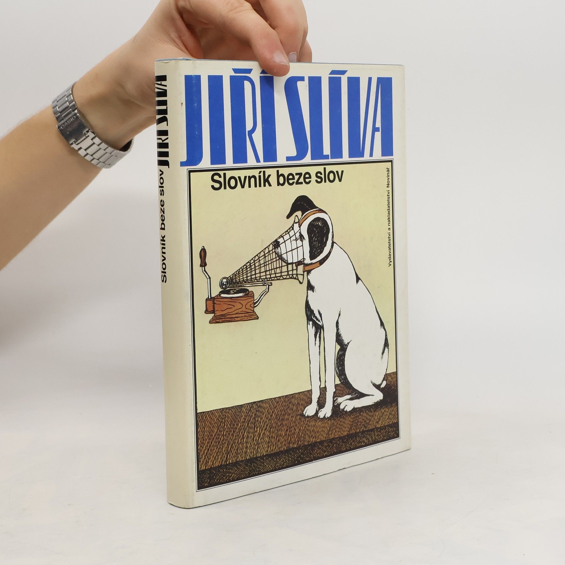 Jiří Slíva Slovník beze slov