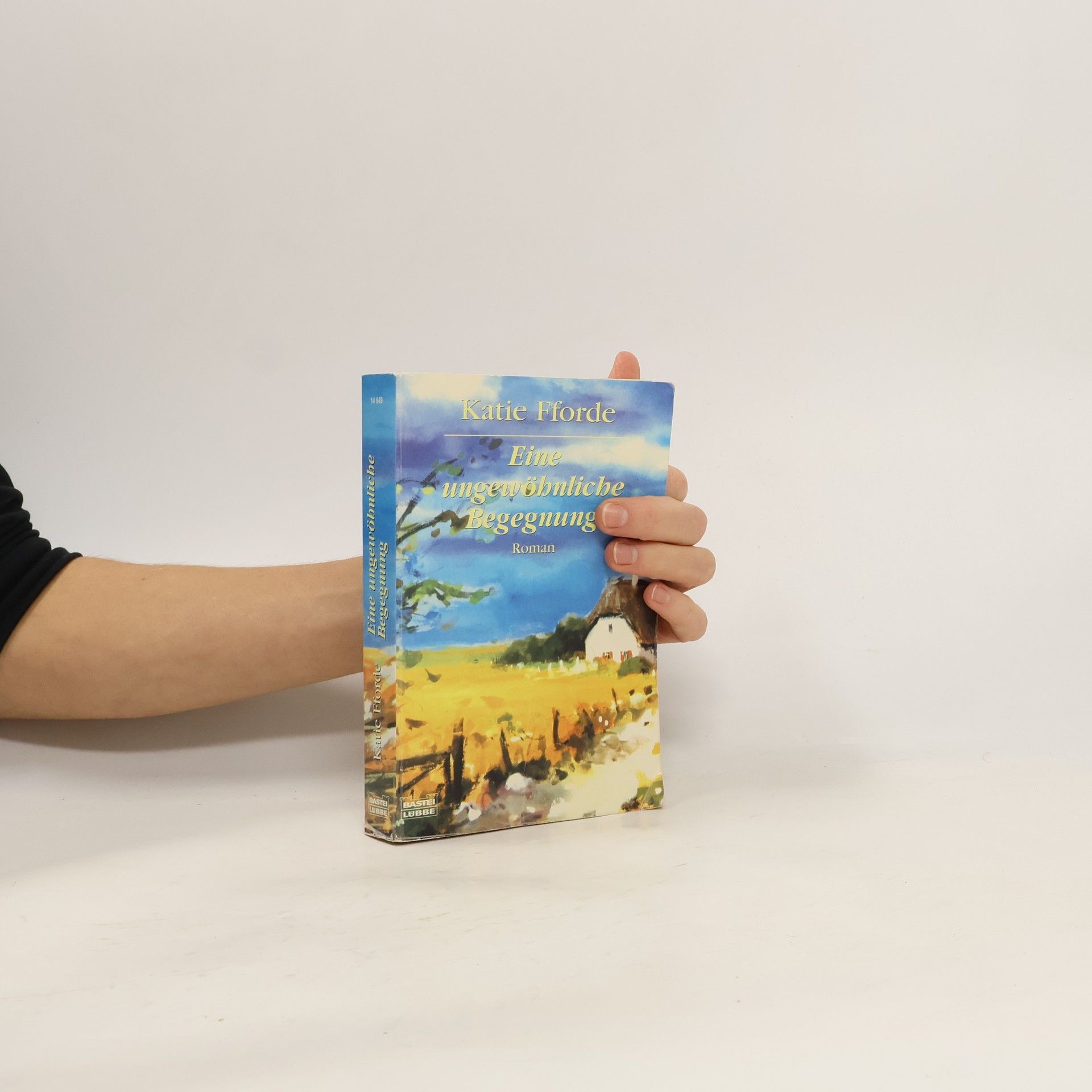 Katie Fforde Eine ungewöhnliche Begegnung