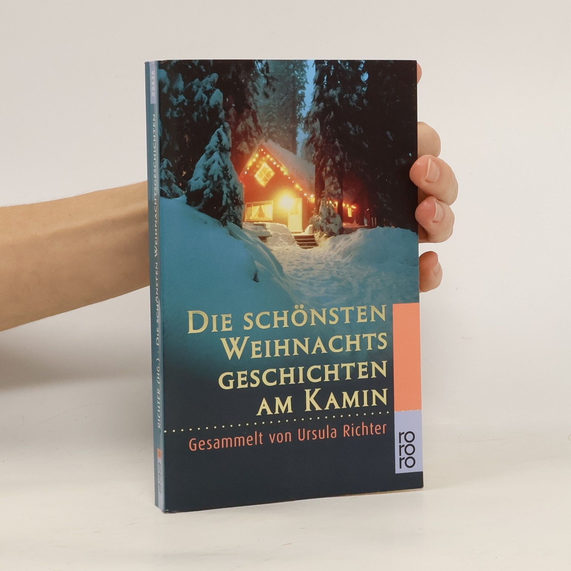 Autorenkollektiv Die schönsten Weihnachtsgeschichten am Kamin