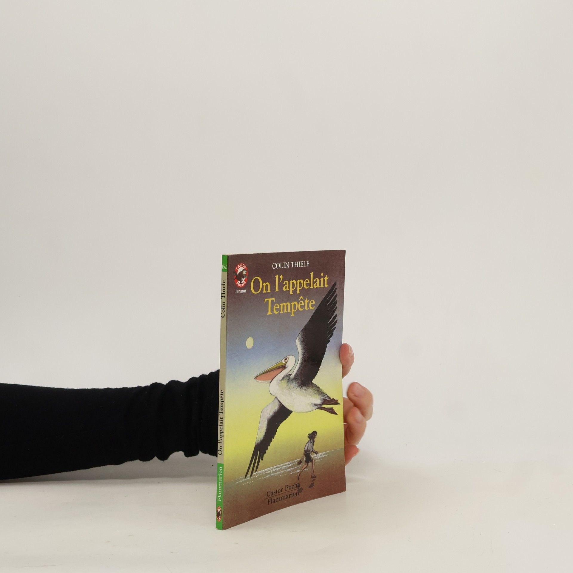 Colin Thiele On l'appelait Tempête