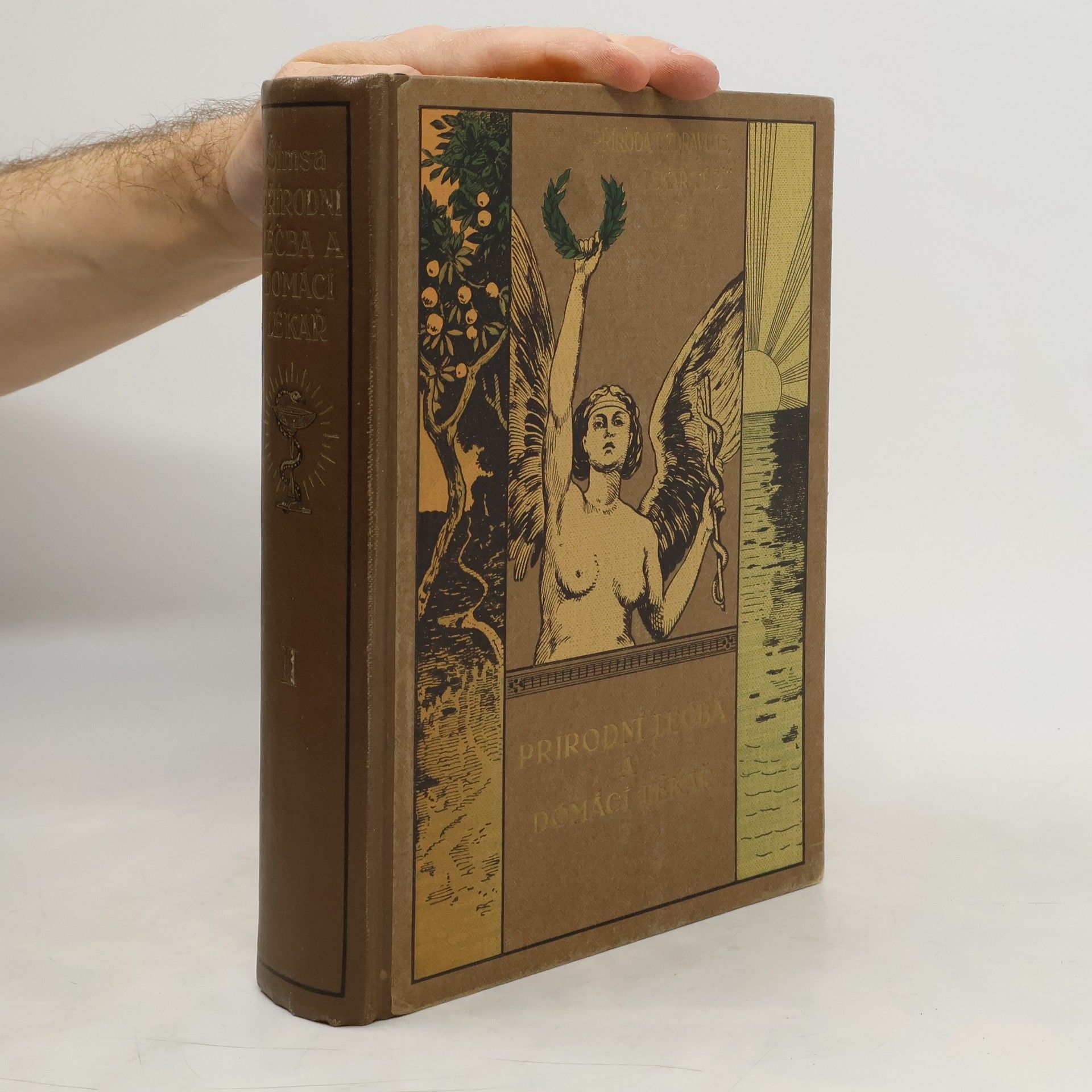 AA.VV. Přírodní léčba a domácí lékař II.