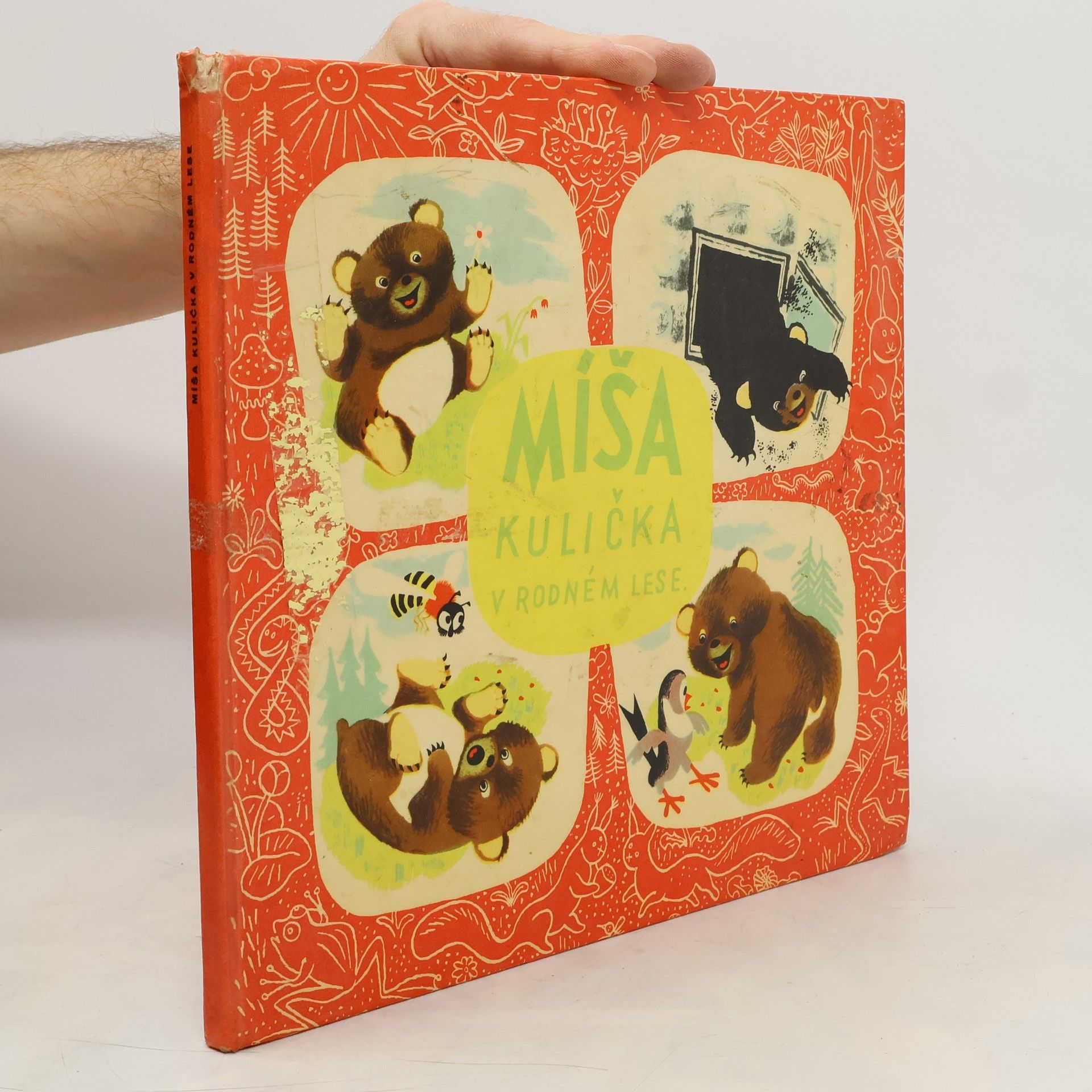 Míša kulička v rodném lese