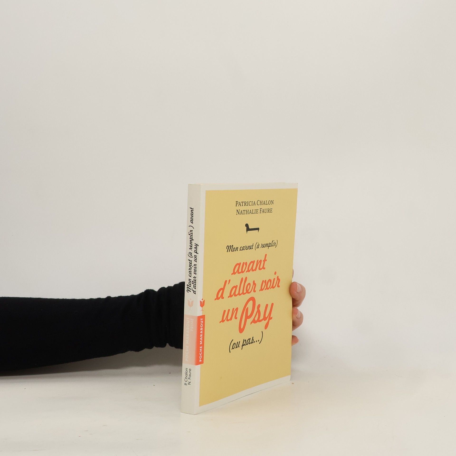 Patricia Chalon Mon carnet (à remplir) avant d'aller voir un psy (ou pas...)