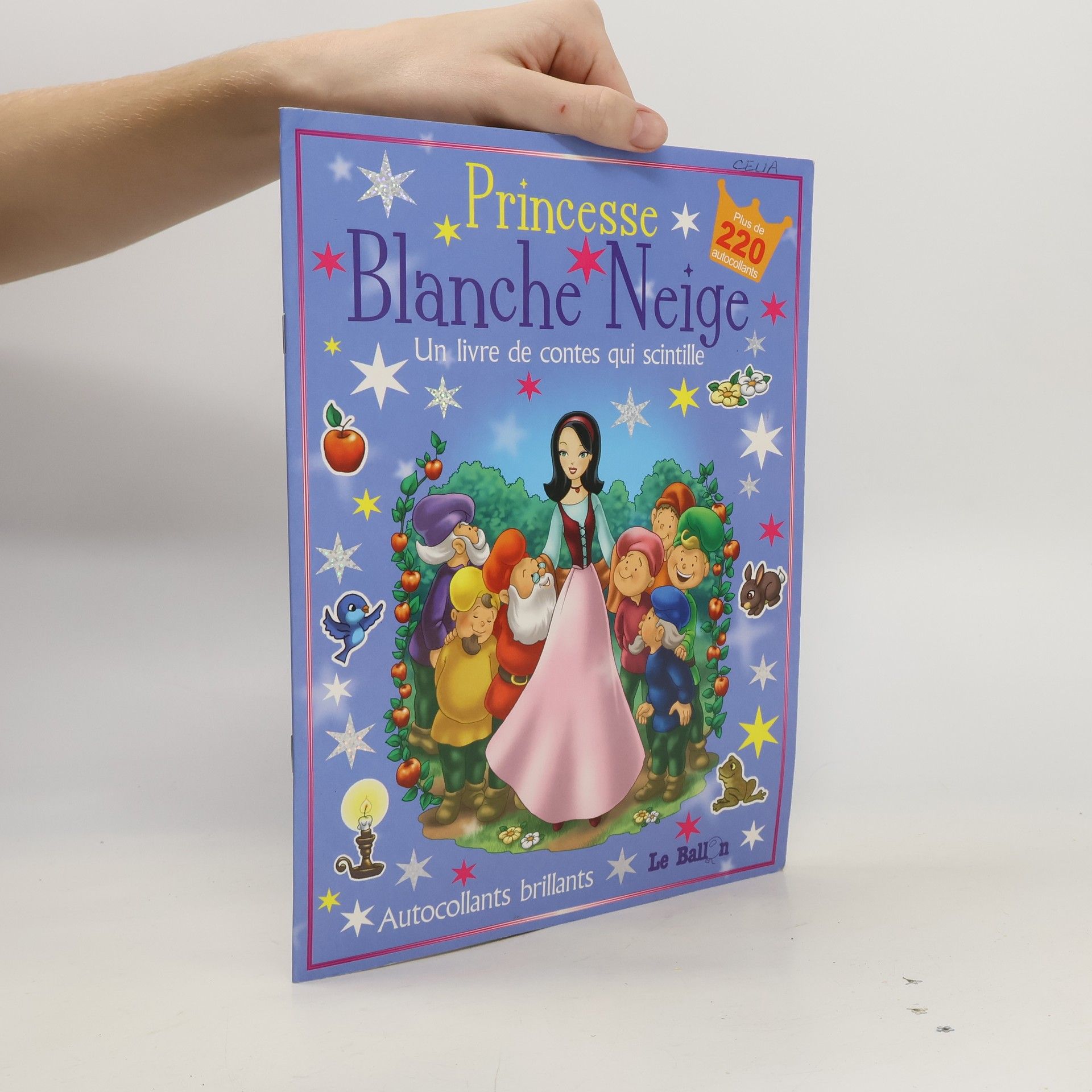 Collectif d'auteurs Princesse Blanche Neige