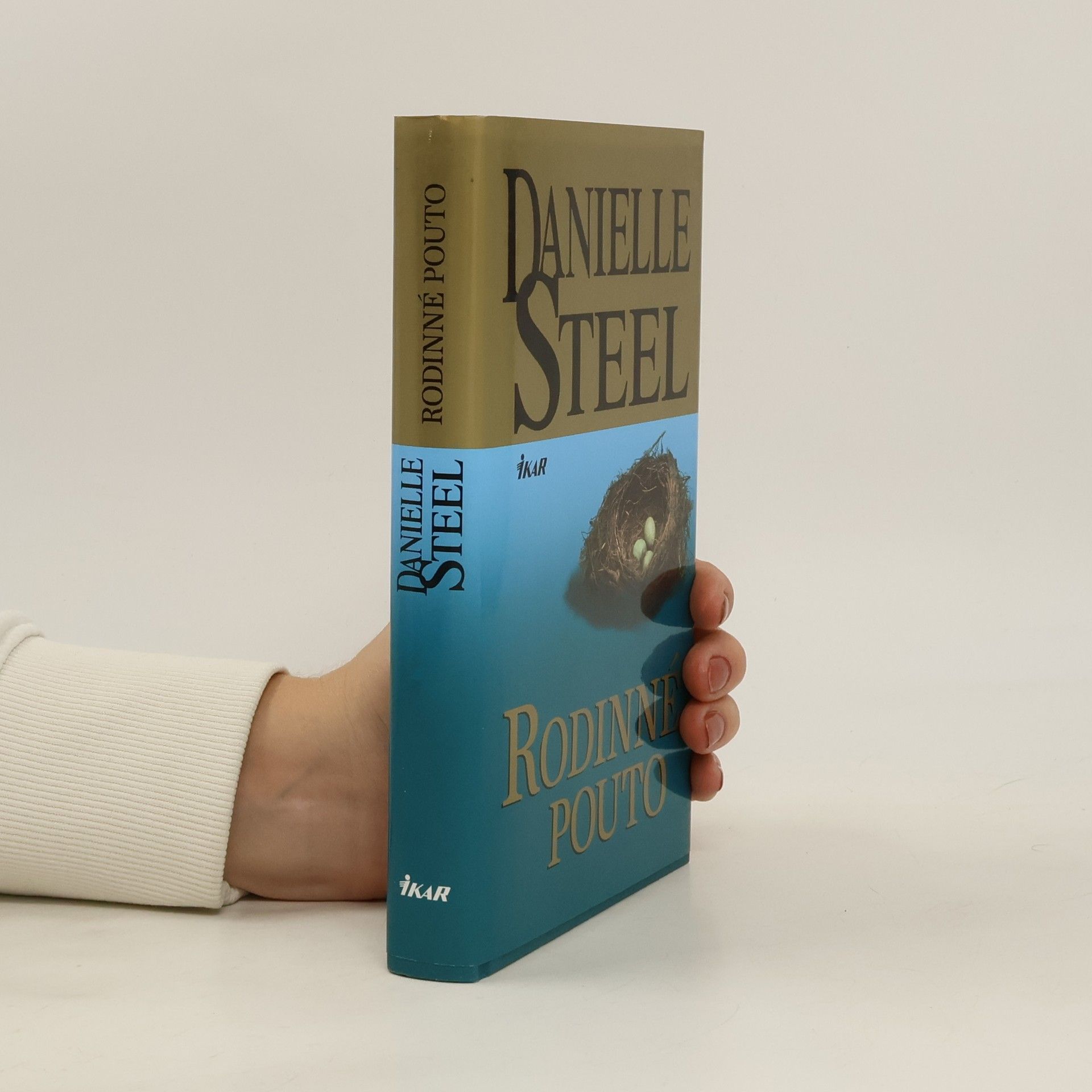 Danielle Steelová Rodinné pouto