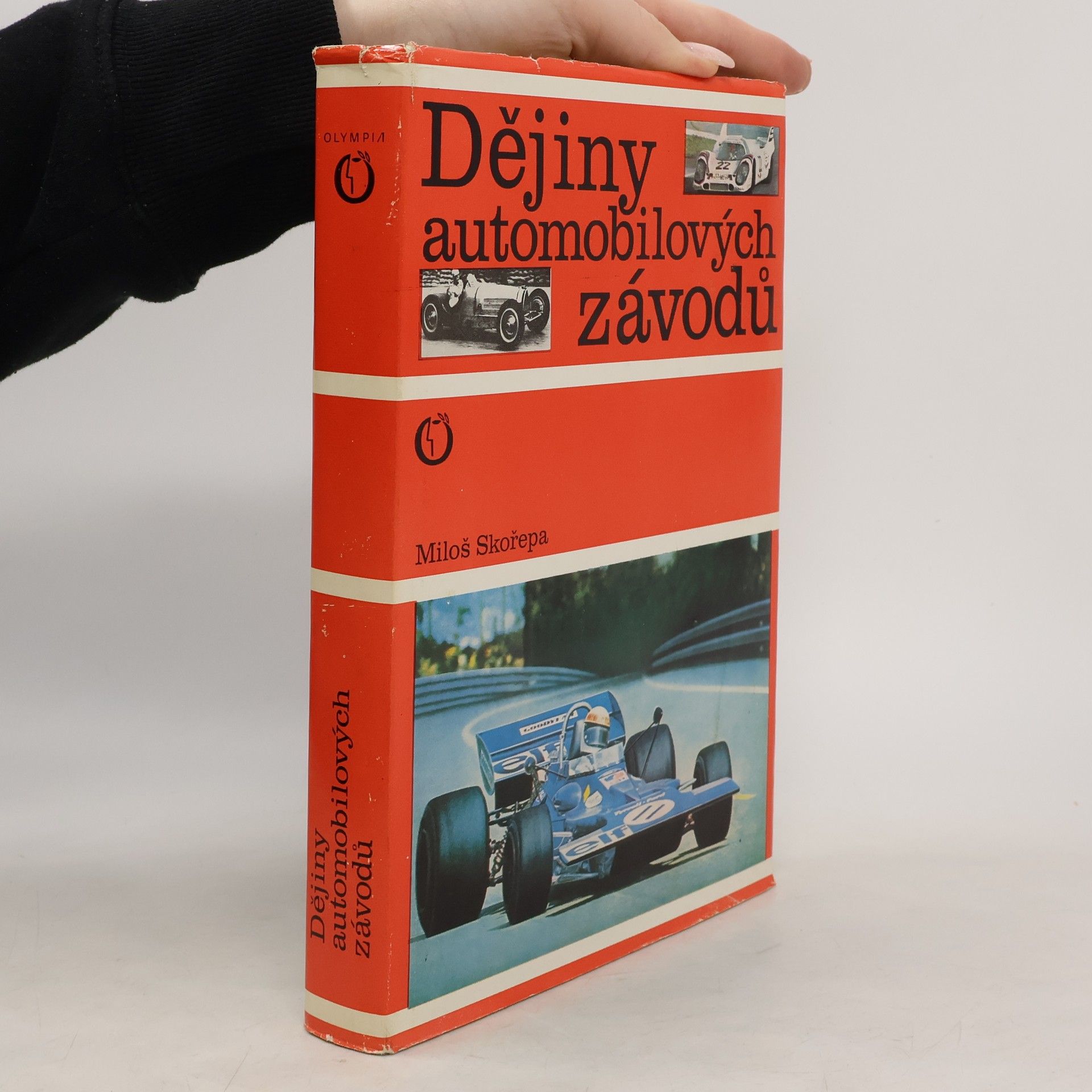 Dějiny automobilových závodů