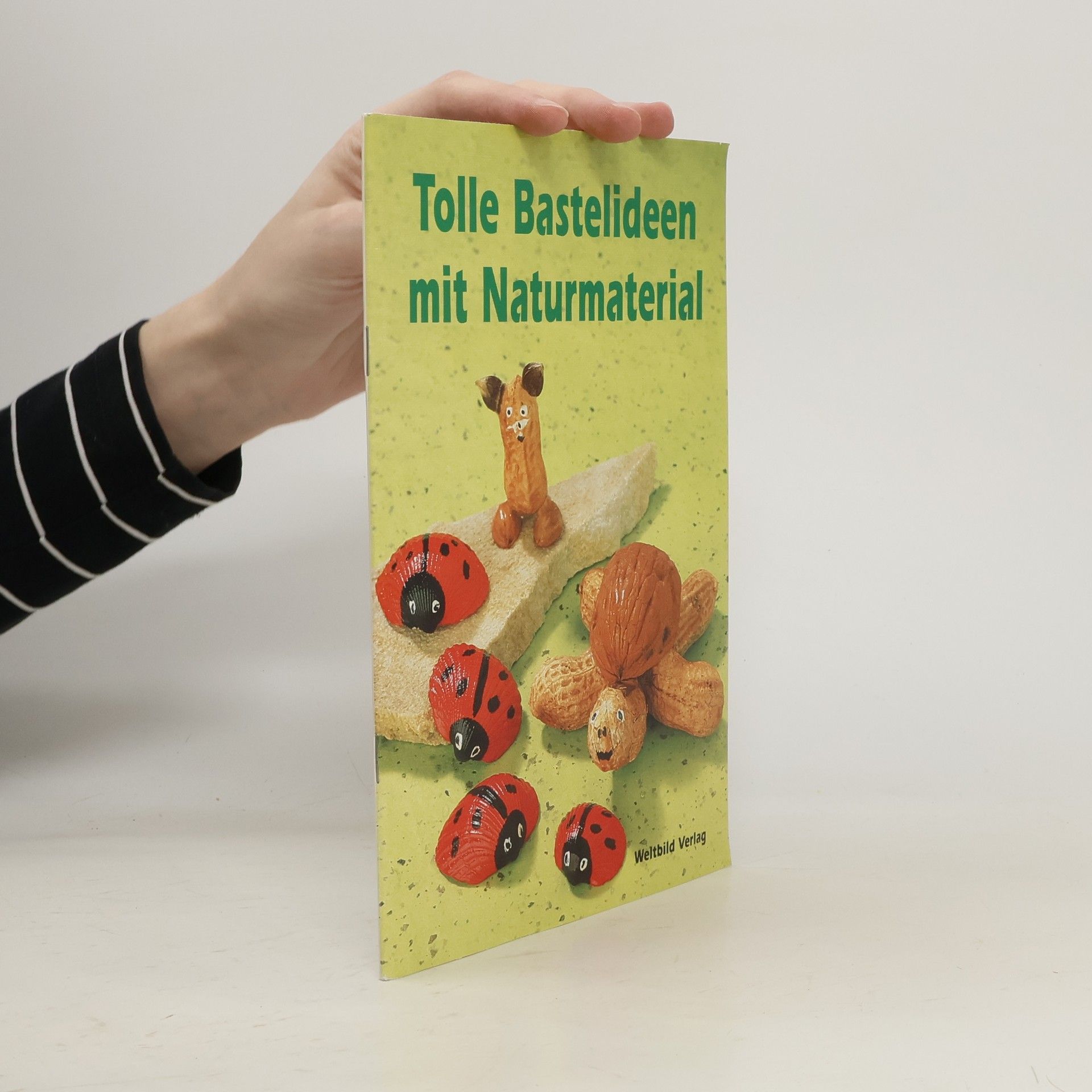 Autorenkollektiv Tolle Bastelideen mit Naturmaterial