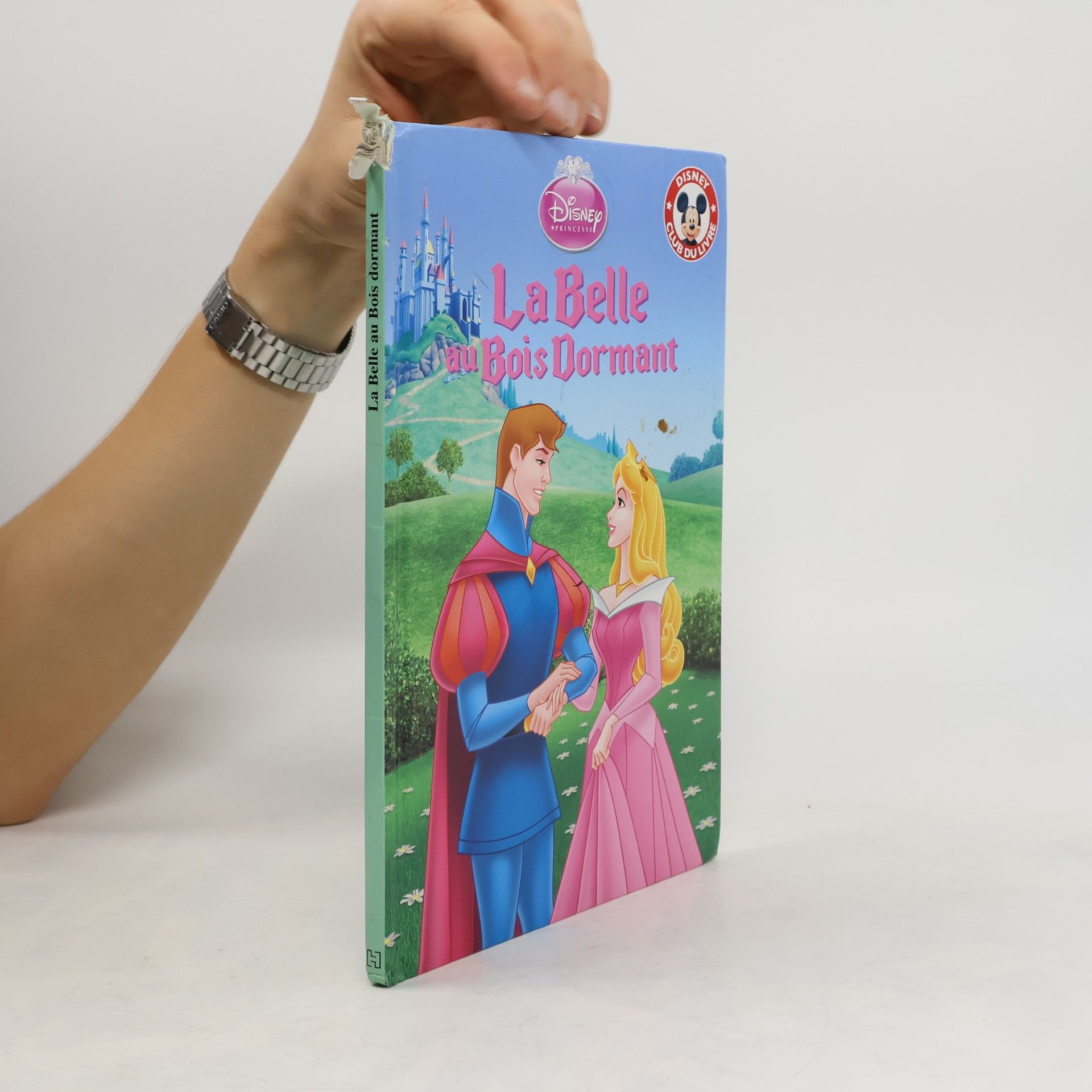 Walt Disney La Belle au Bois Dormant