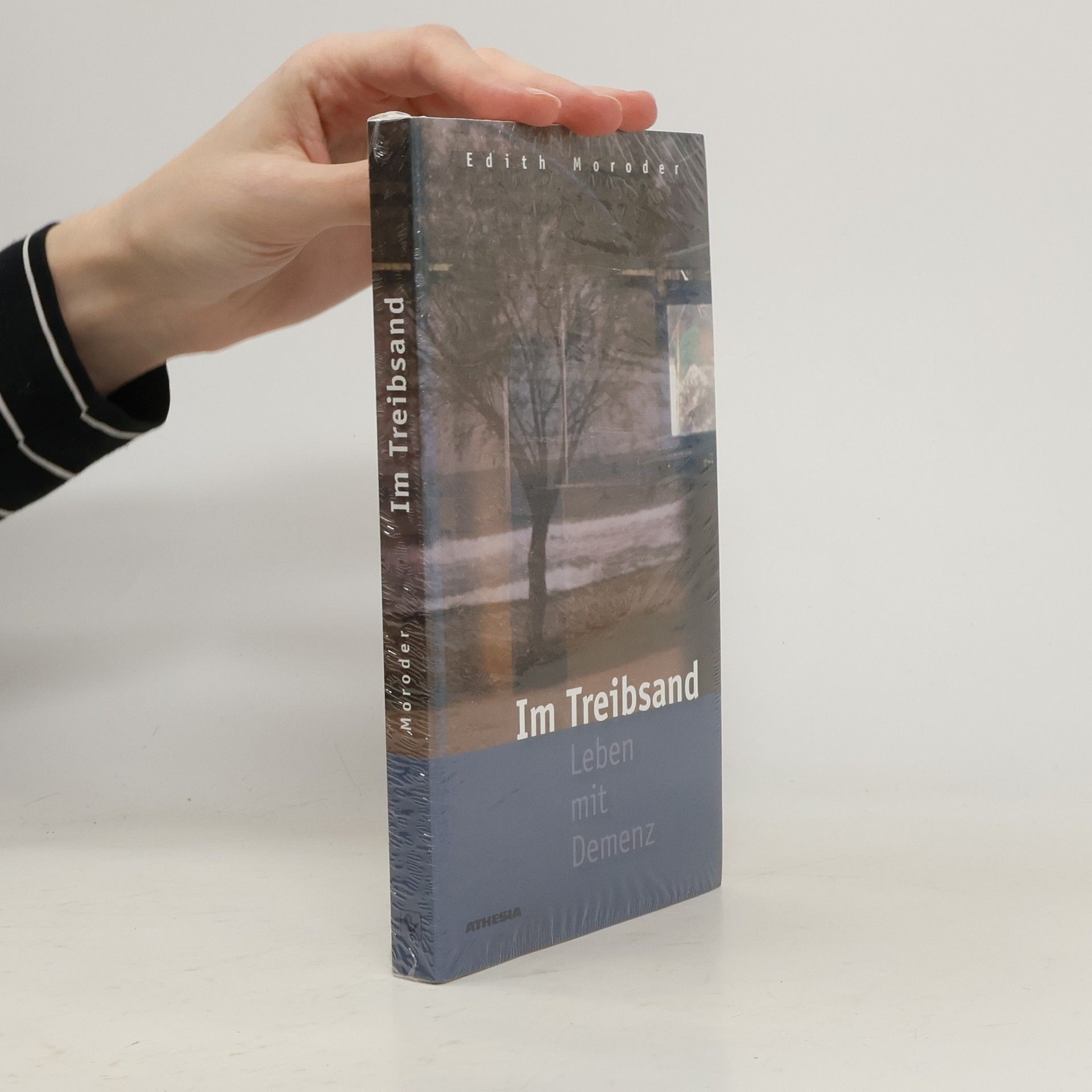 Edith Moroder Im Treibsand