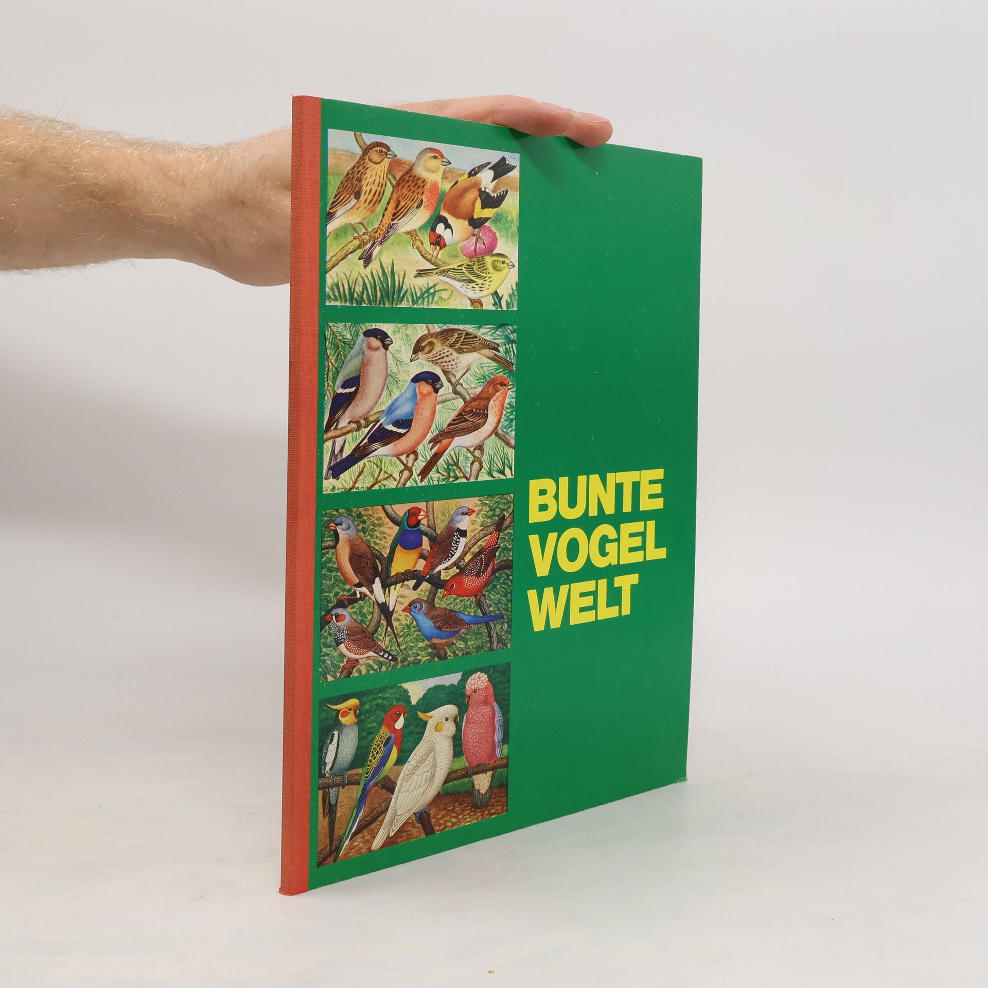 Peter Kuhlemann Bunte Vogelwelt