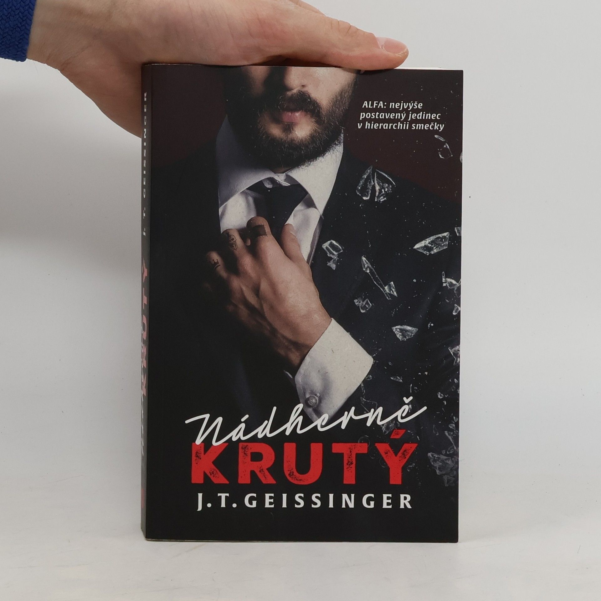 J. T. Geissinger Nádherně krutý