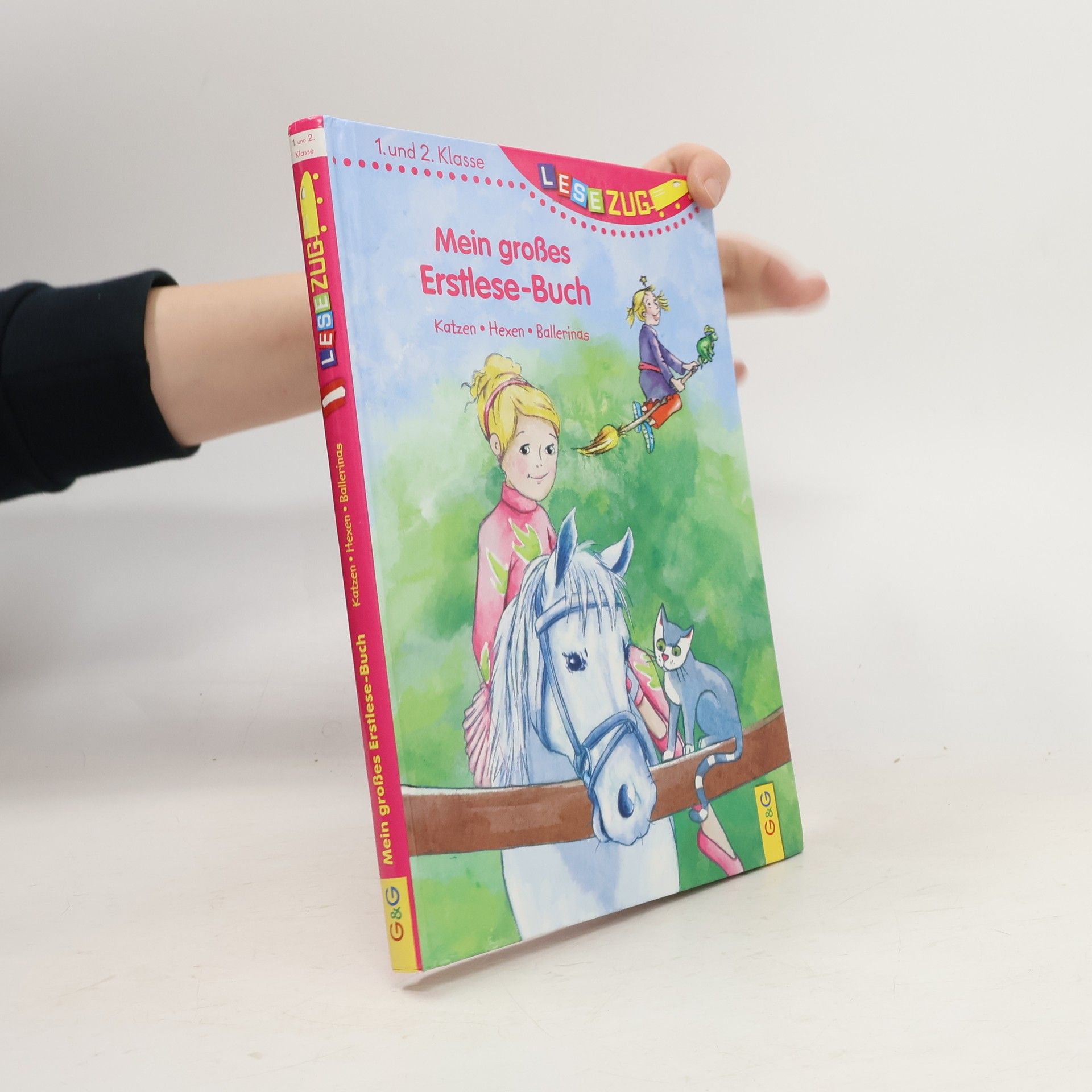 Michaela Holzinger Mein großes Erstlese-Buch - Katzen, Hexen, Ballerinas