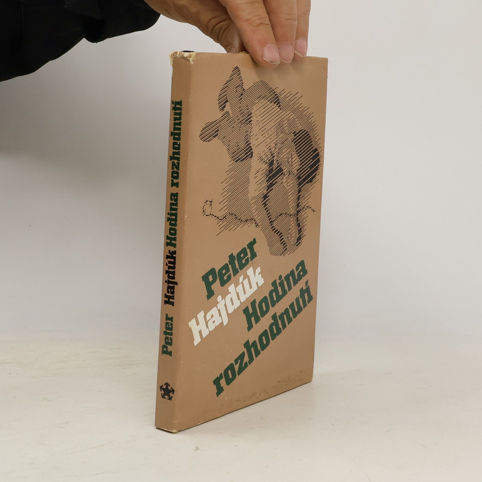 Peter Hajdúk Hodina rozhodnutí