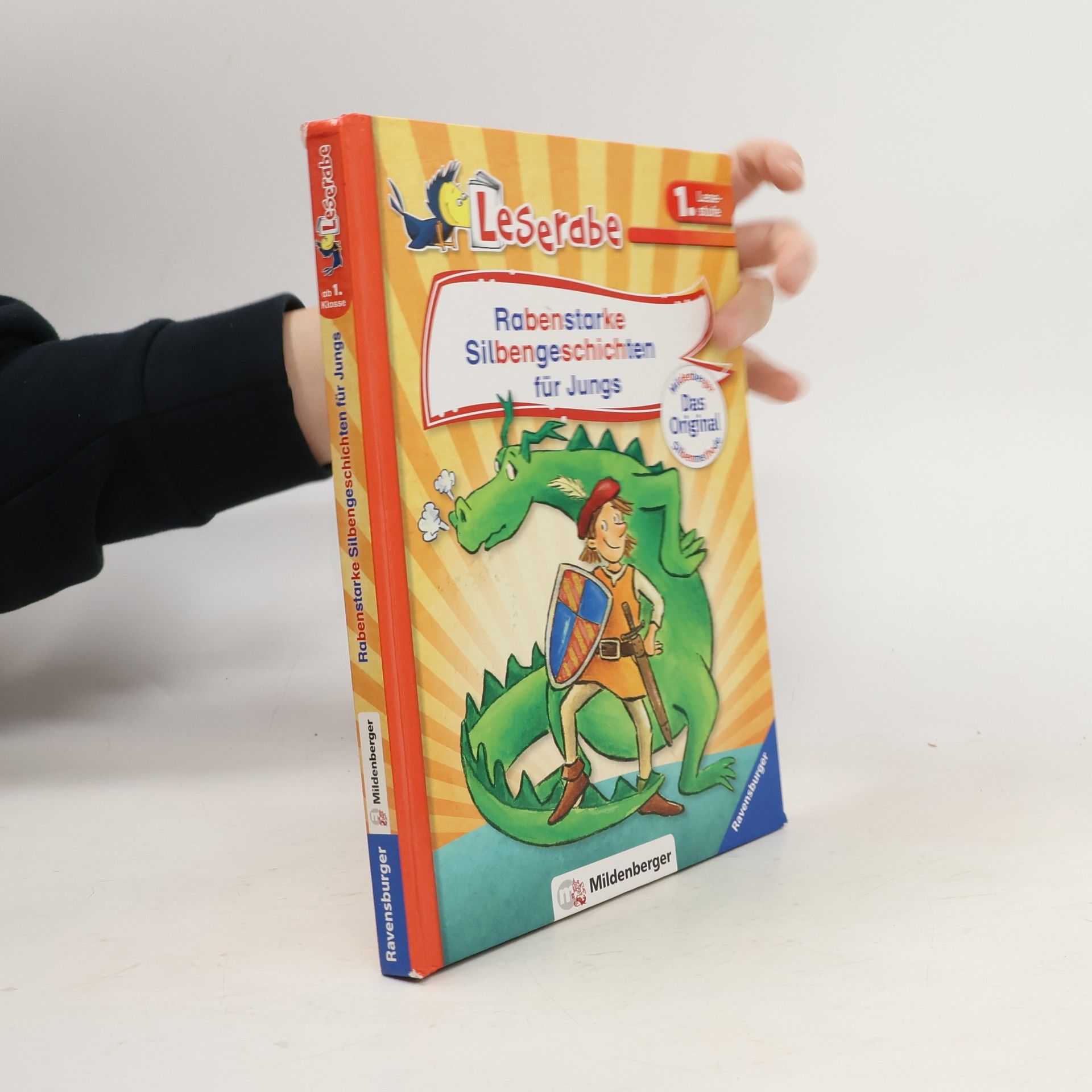 Katja Reider Rabenstarke Silbengeschichten für Jungs