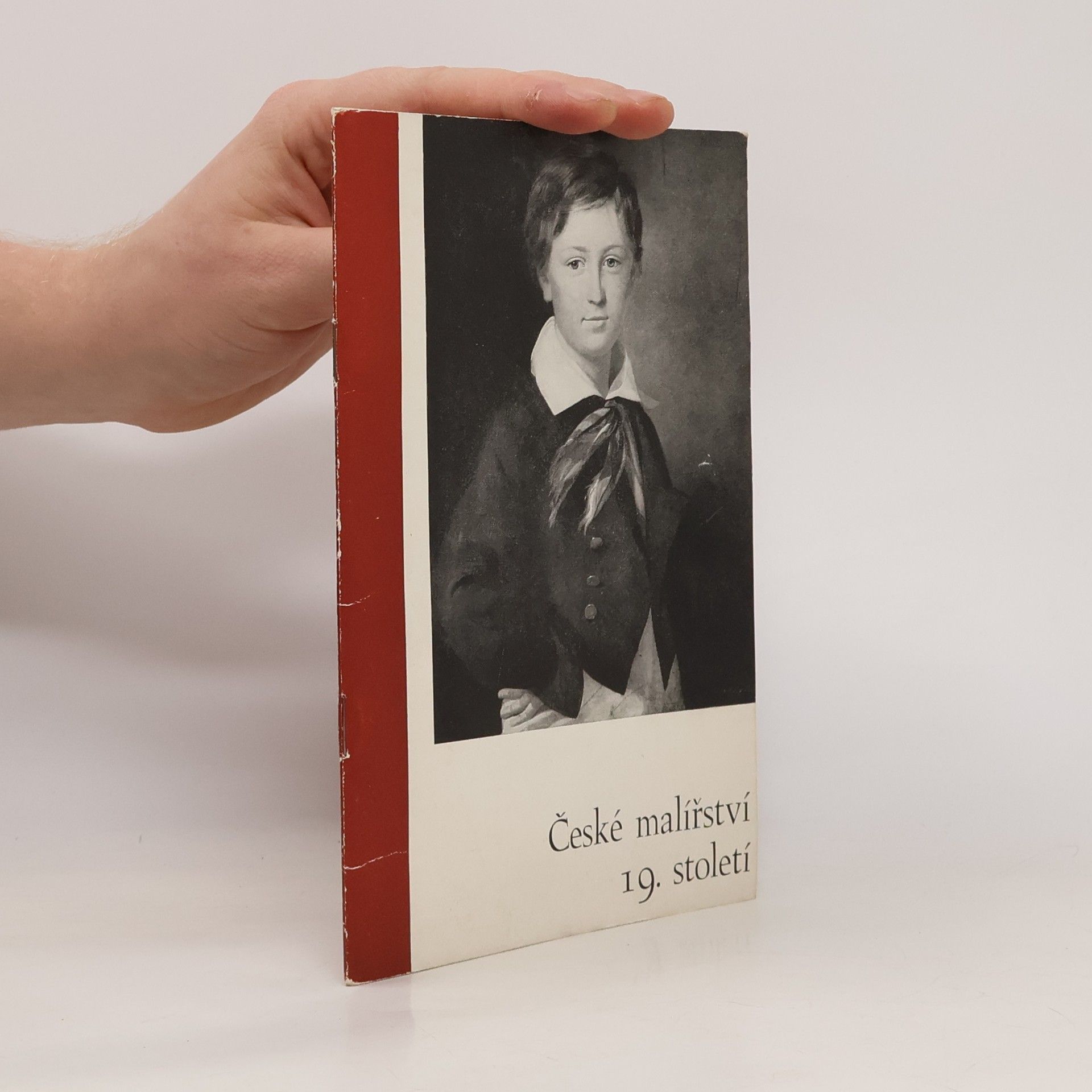 Autorenkollektiv České malířství 19. století