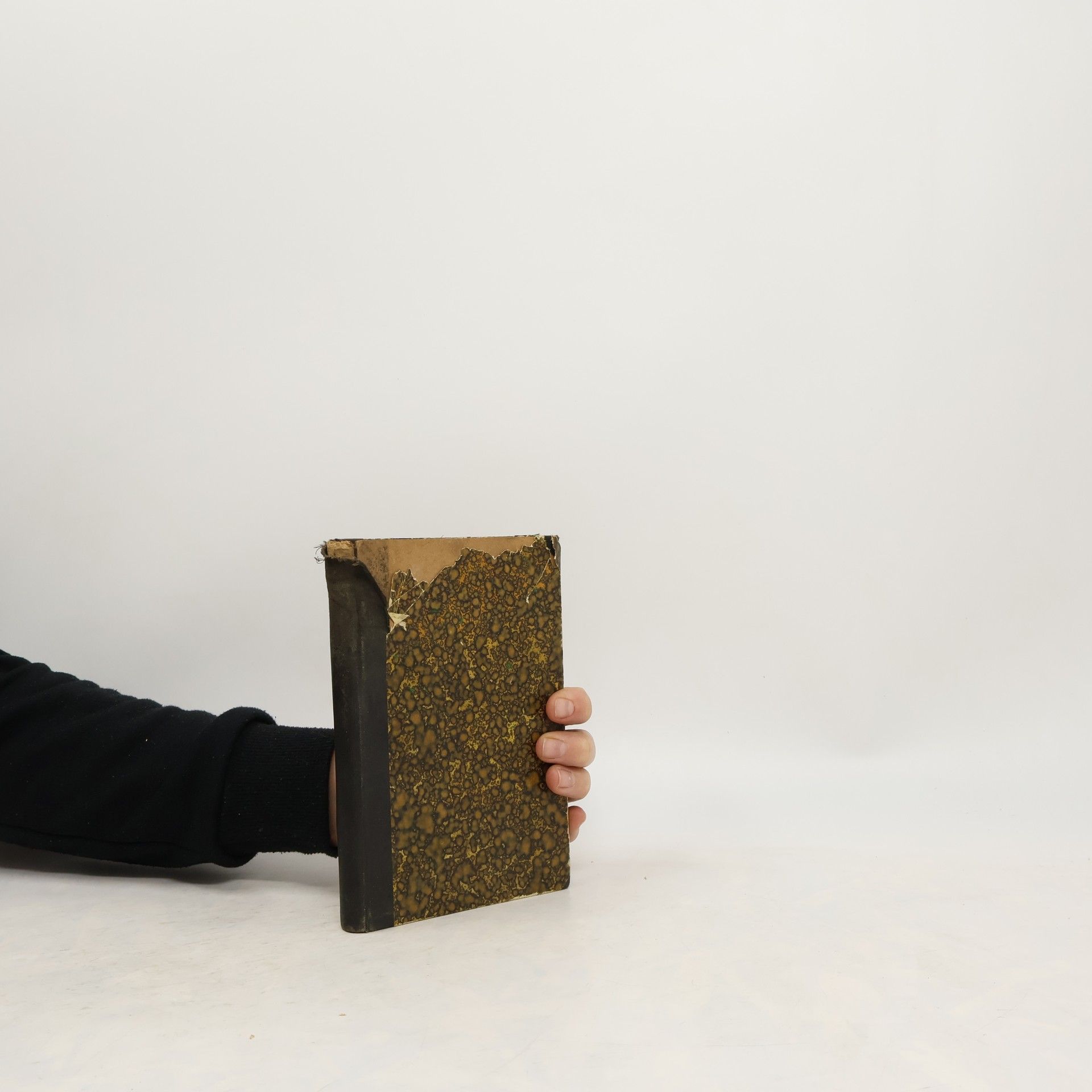 J. Kaizl České myšlenky