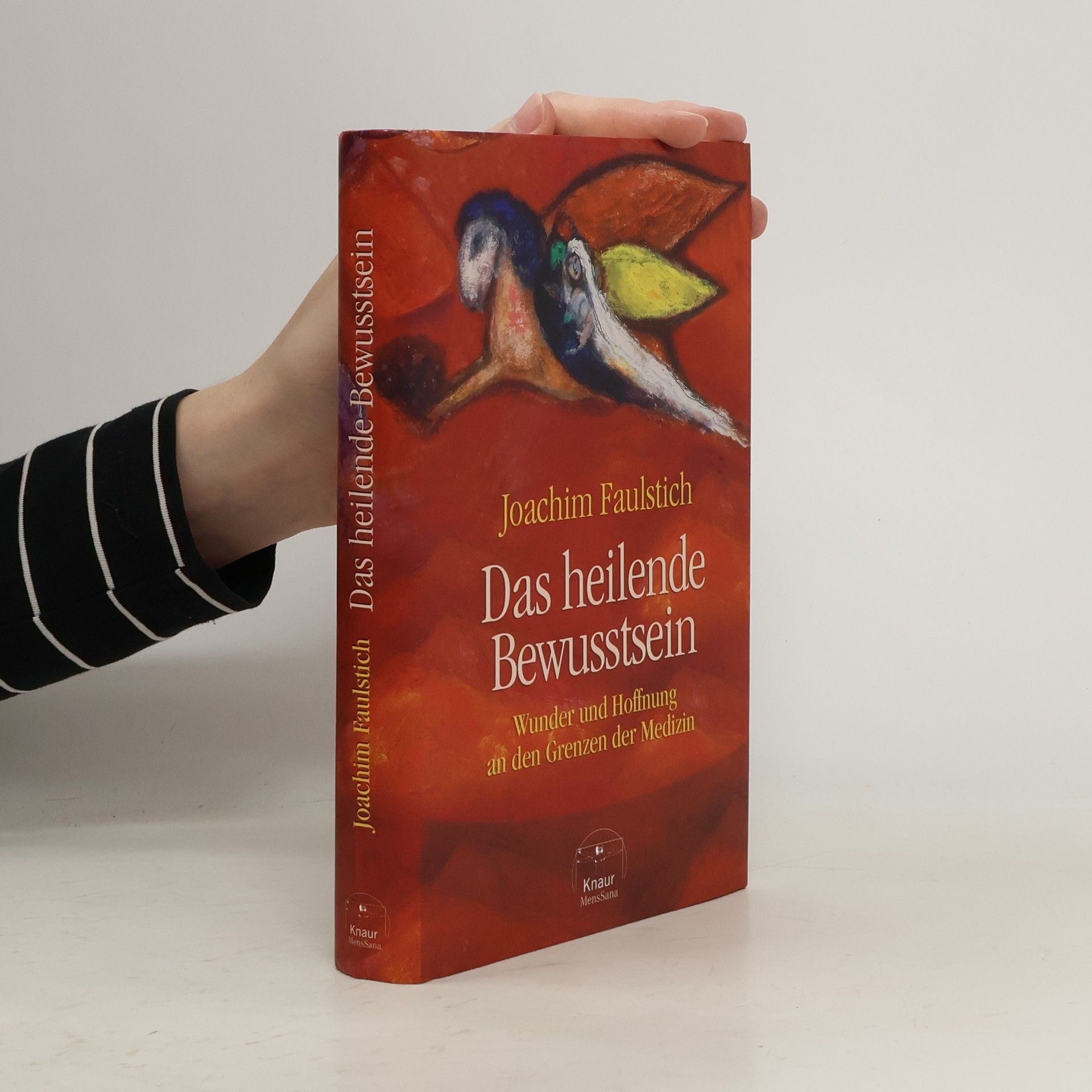 Joachim Faulstich Das heilende Bewusstsein