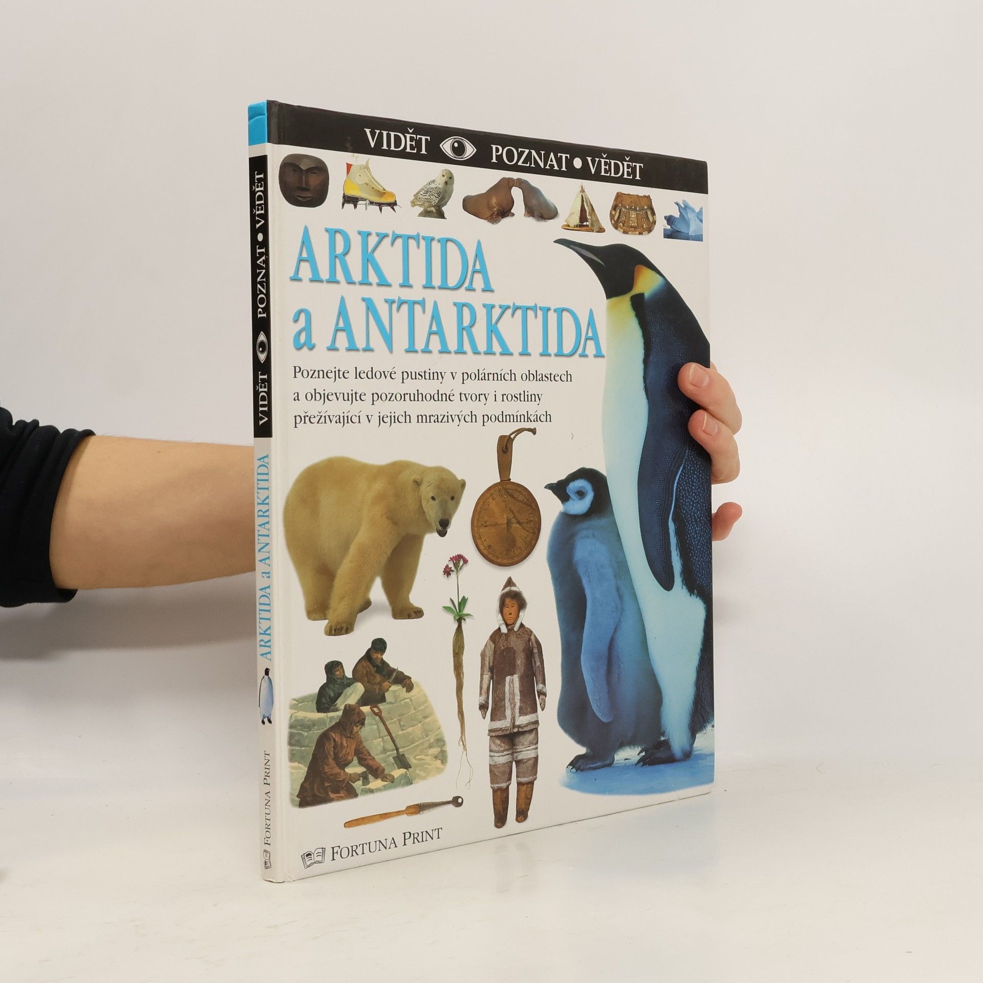 Barbara Taylor Bradford Arktida a Antarktida