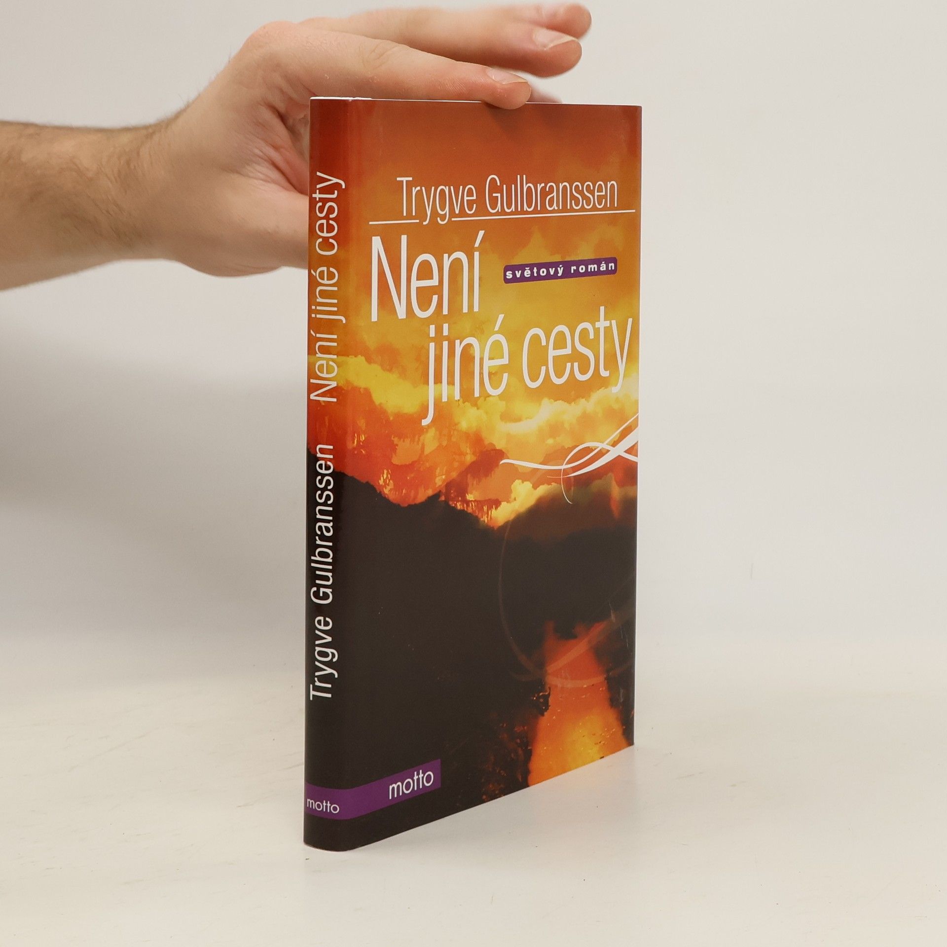 Trygve Gulbranssen Není jiné cesty