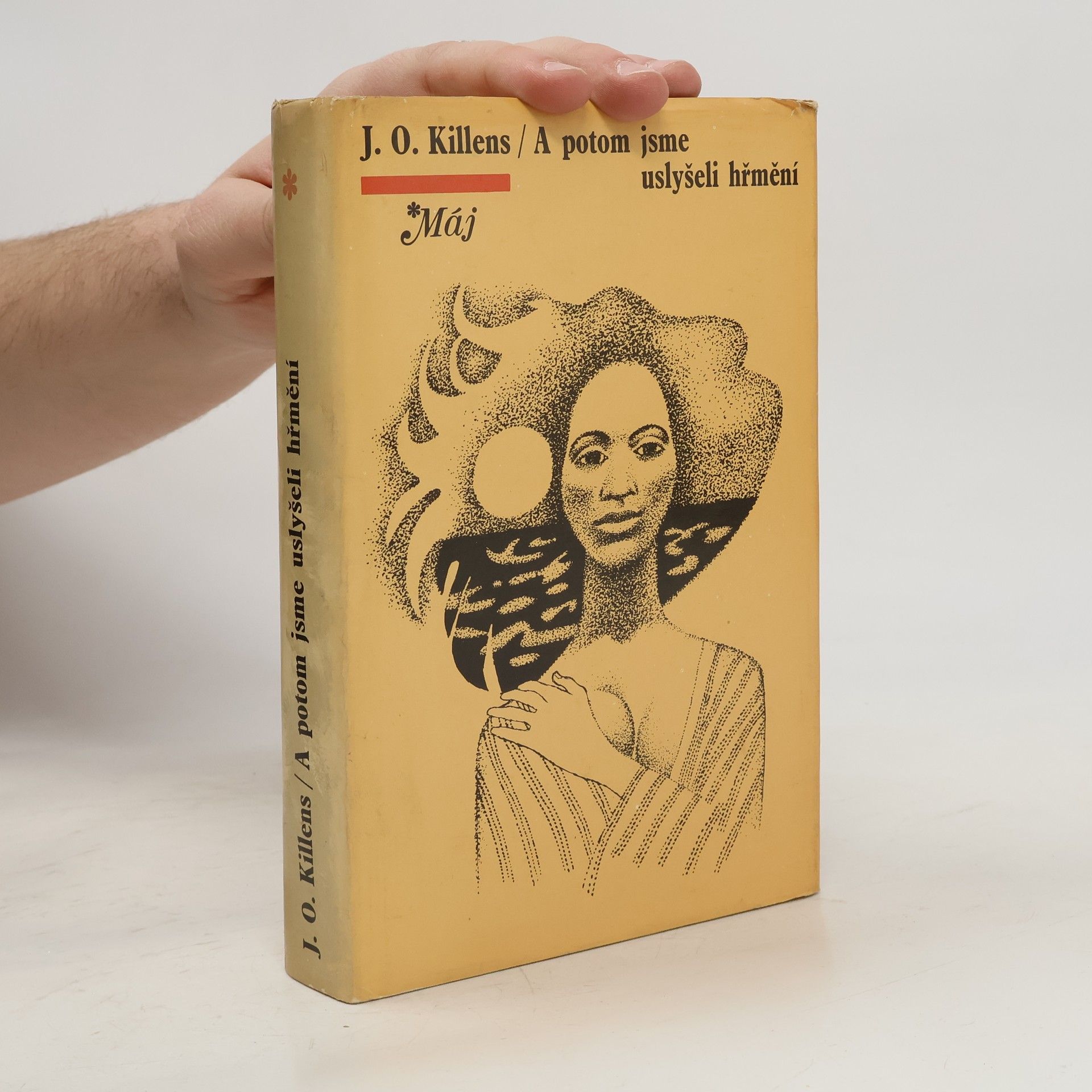 A potom jsme uslyšeli hřmění