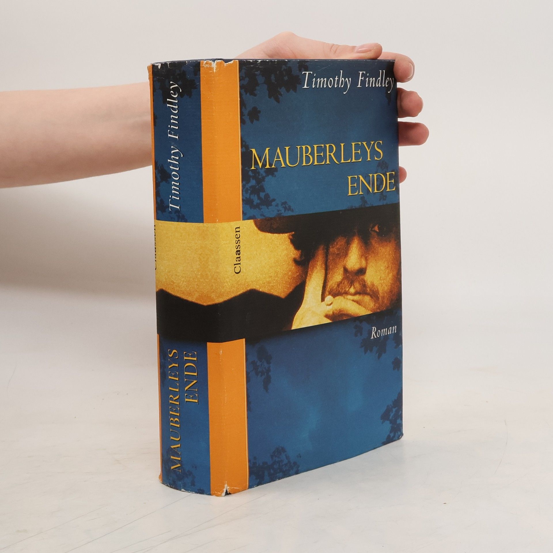 Timothy Findley Mauberleys Ende