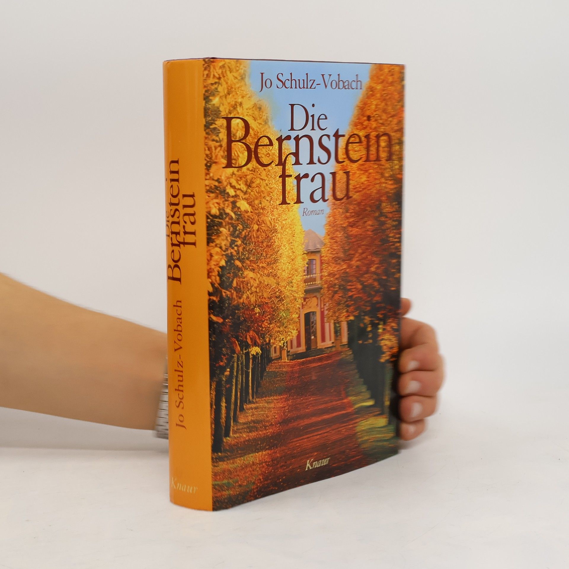 Jo Schulz Die Bernsteinfrau