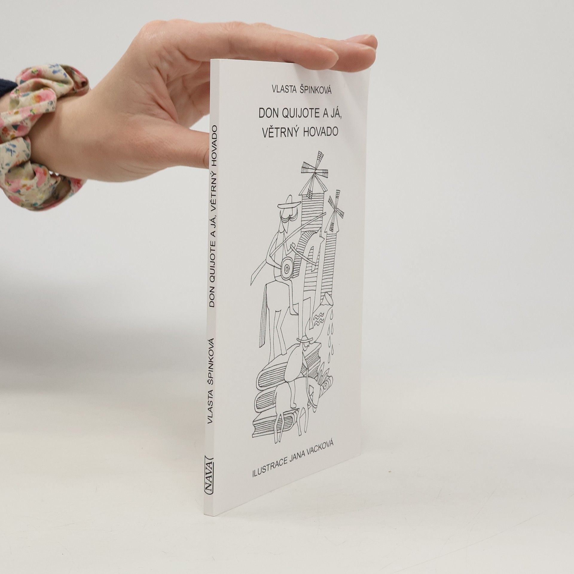 Don Quijote a já, větrný hovado