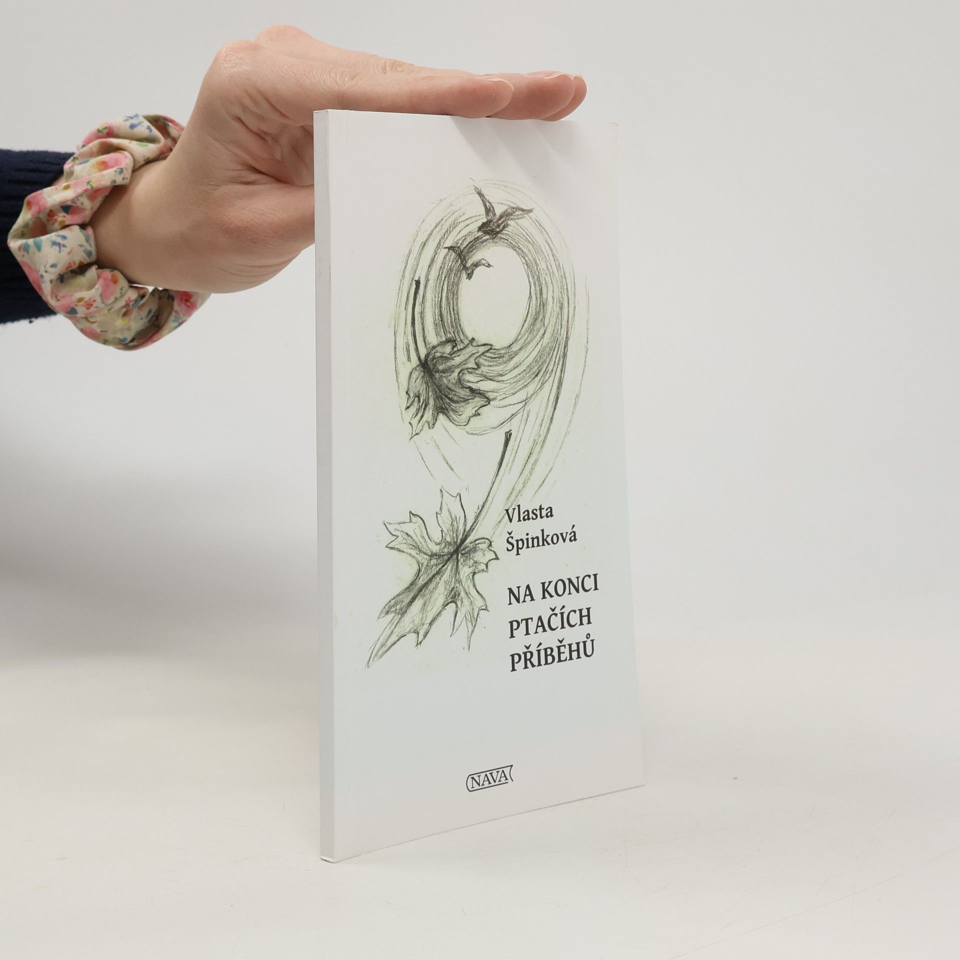 Vlasta Špinková Na konci ptačích příběhů