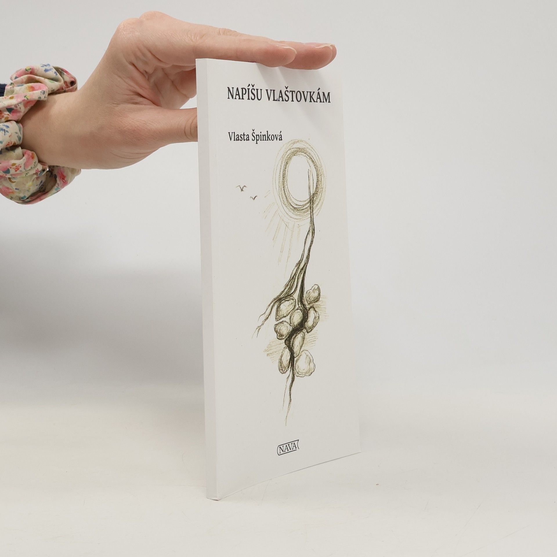 Vlasta Špinková Napíšu vlaštovkám