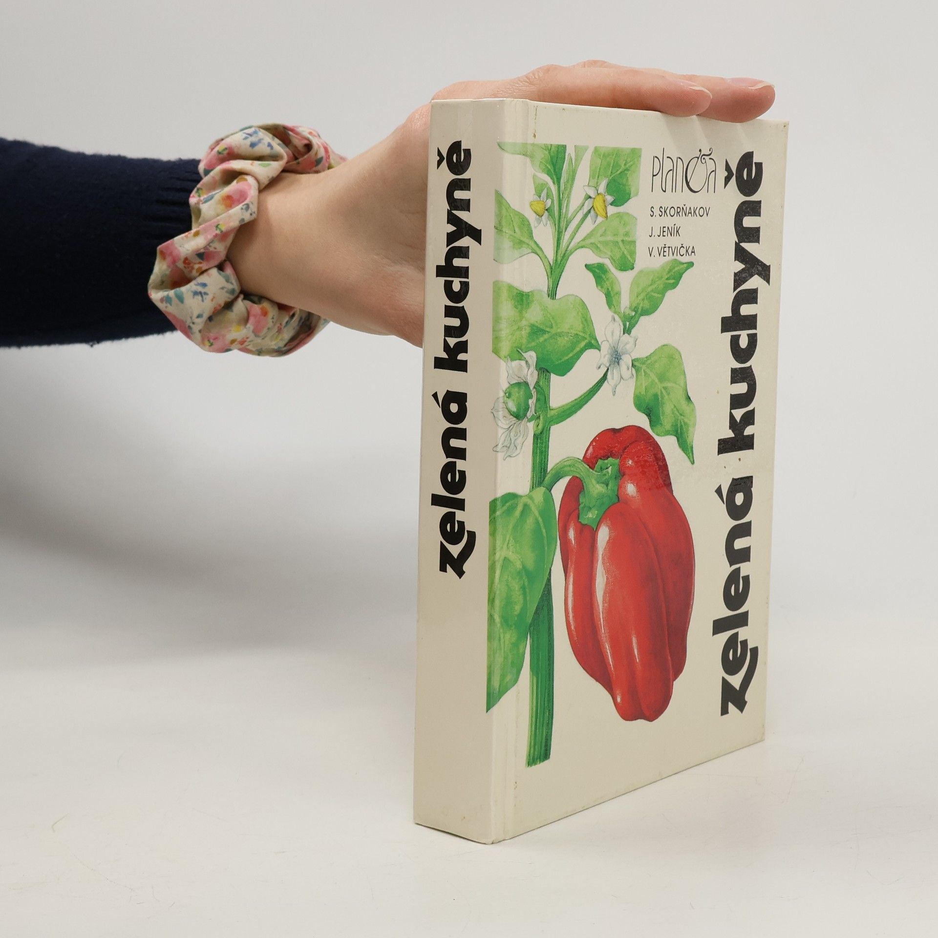 Jan Jeník Zelená kuchyně