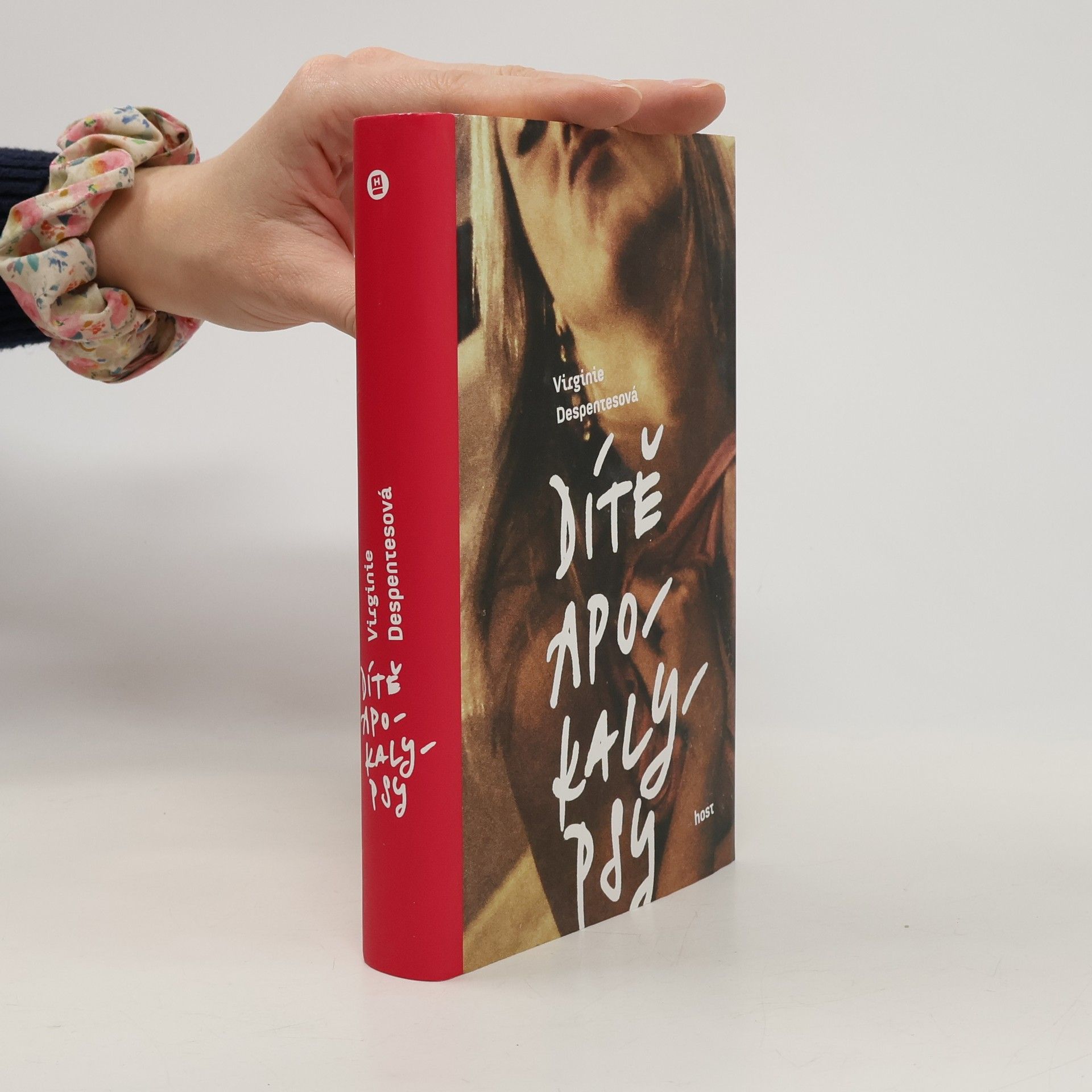 Virginie Despentes Dítě apokalypsy