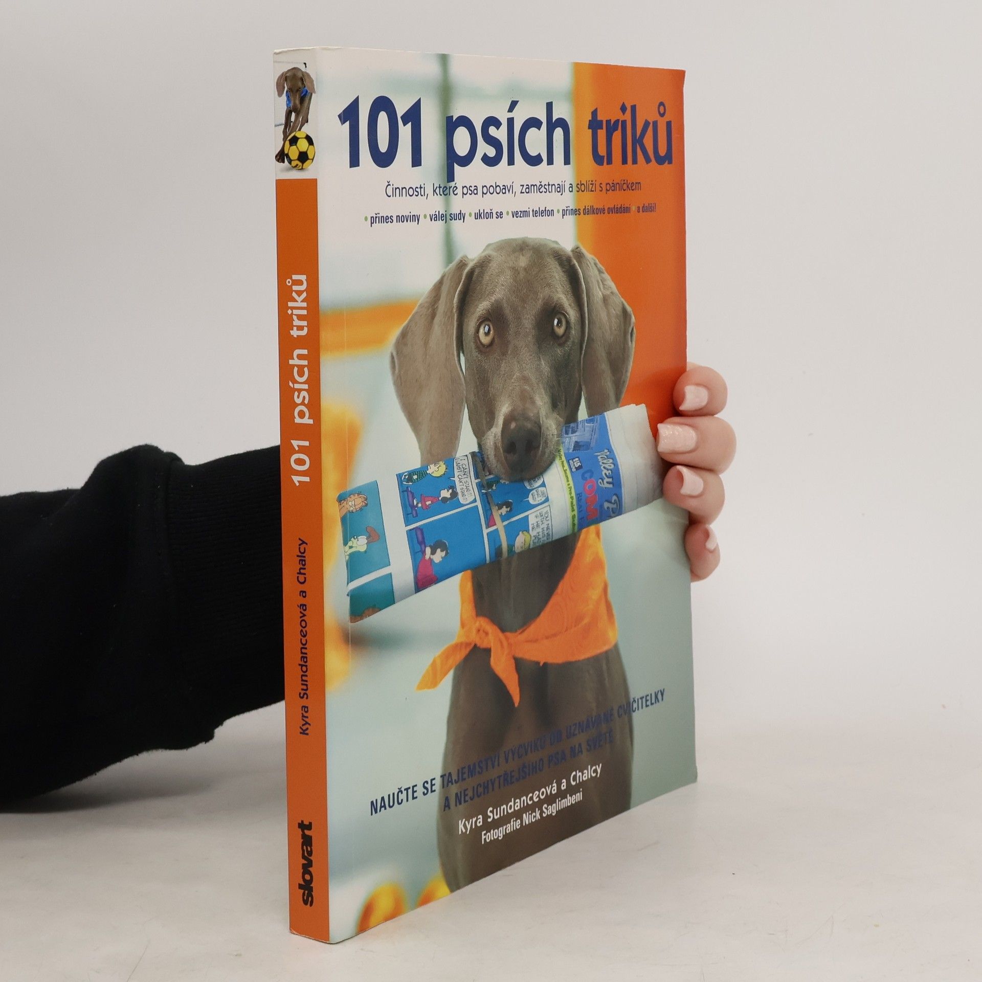 Kyra Sundance 101 psích triků : činnosti, které psa pobaví, zaměstnají a sblíží s páníčkem - krok za krokem