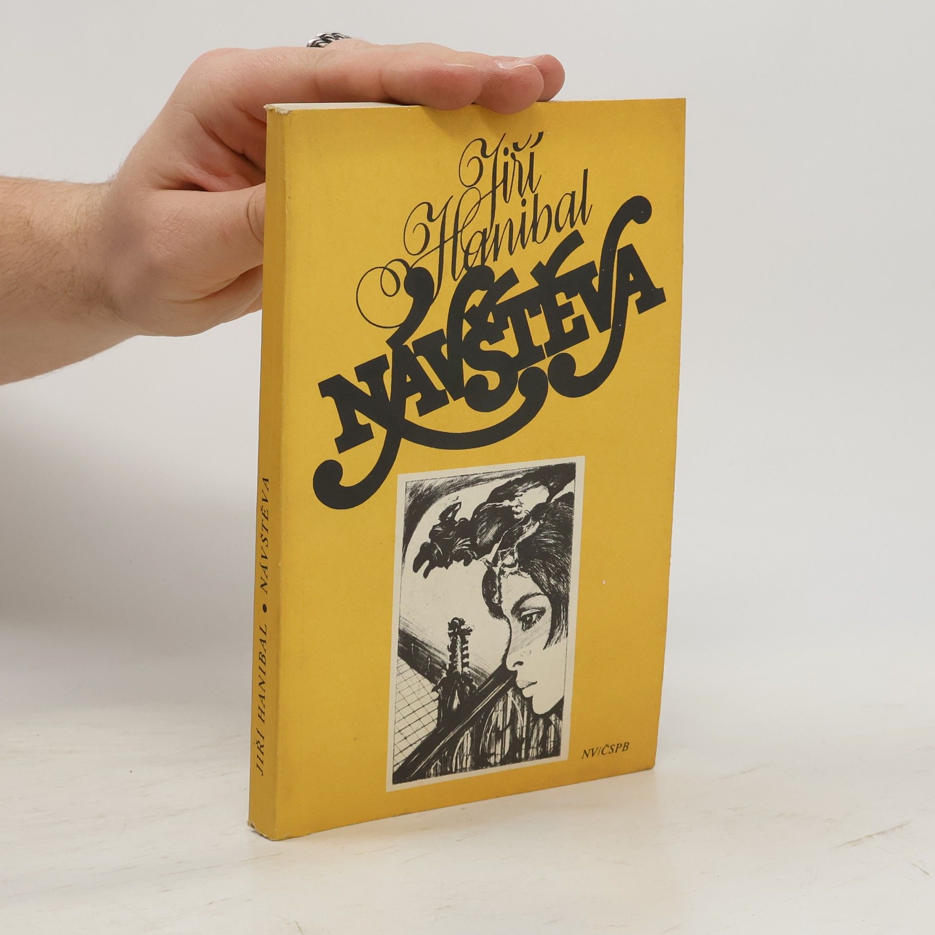 Jiří Hanibal Návštěva