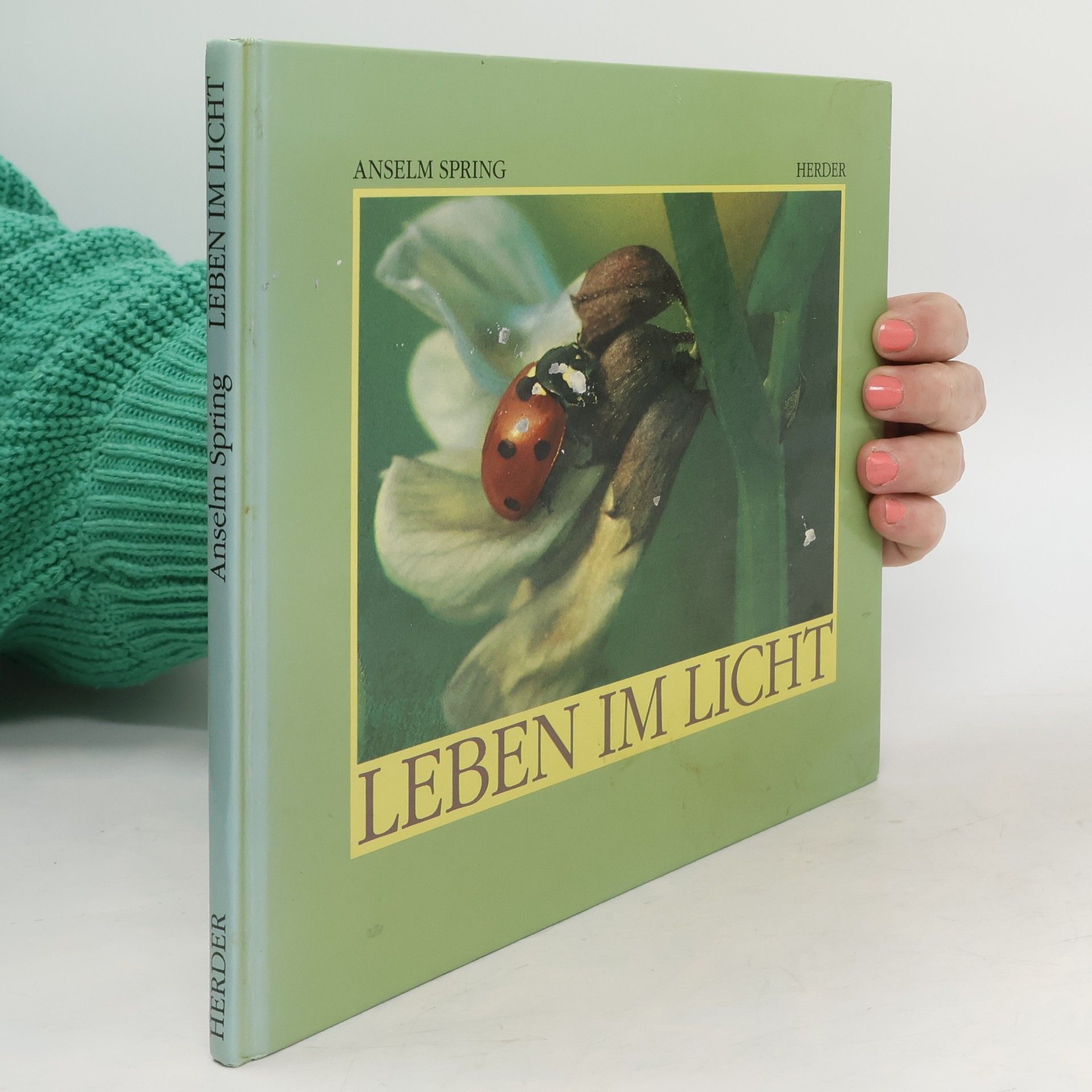 Anselm Spring Leben im Licht