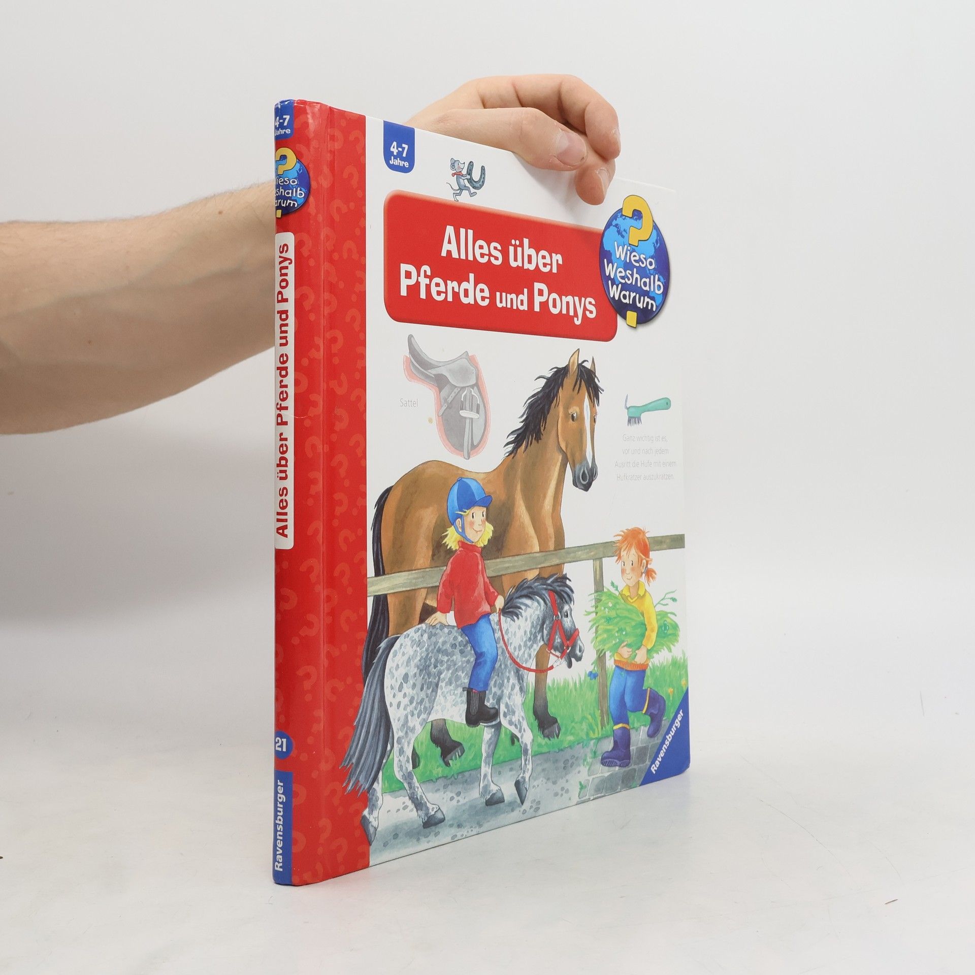 Andrea Erne Alles über Pferde und Ponys