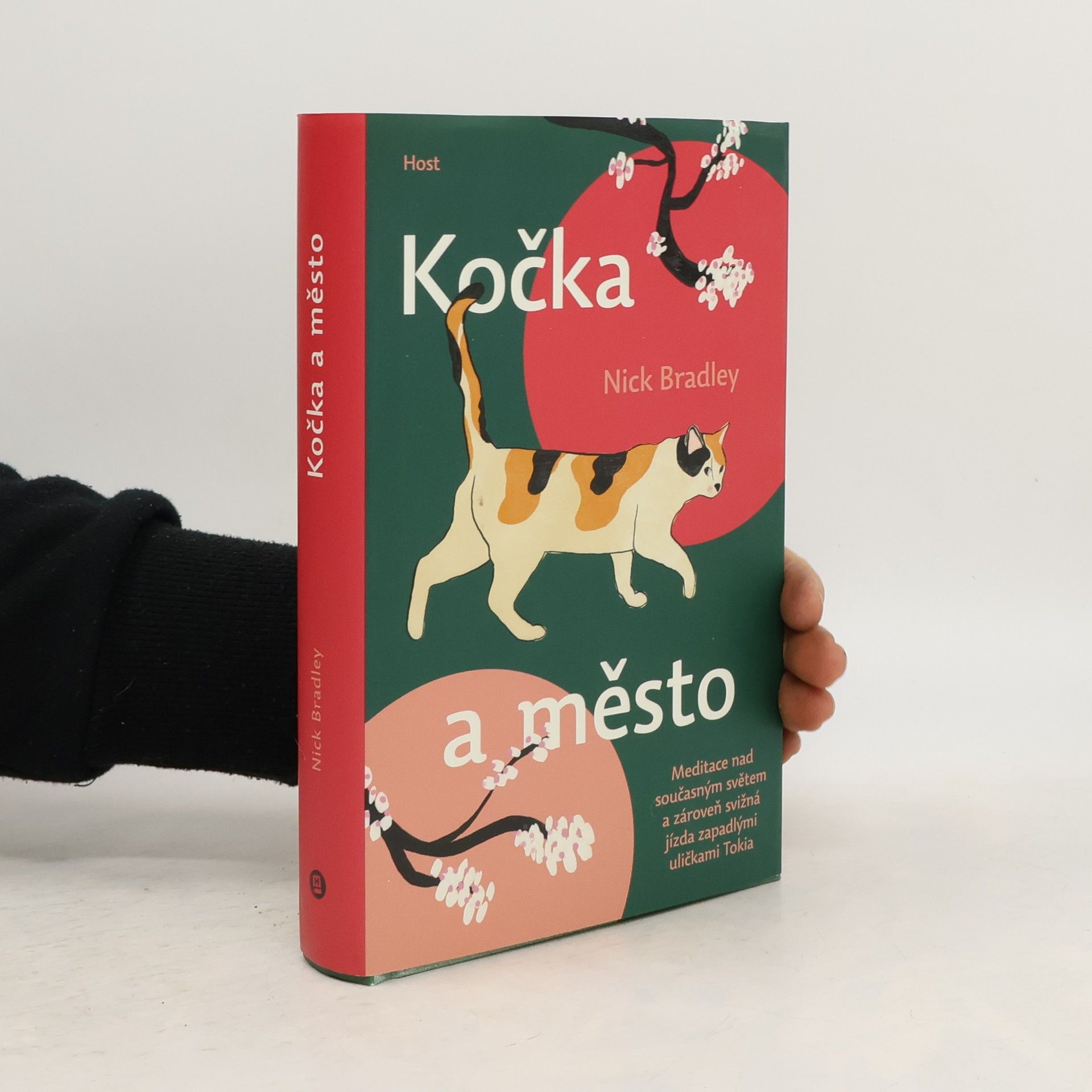 Nick Bradley Kočka a město