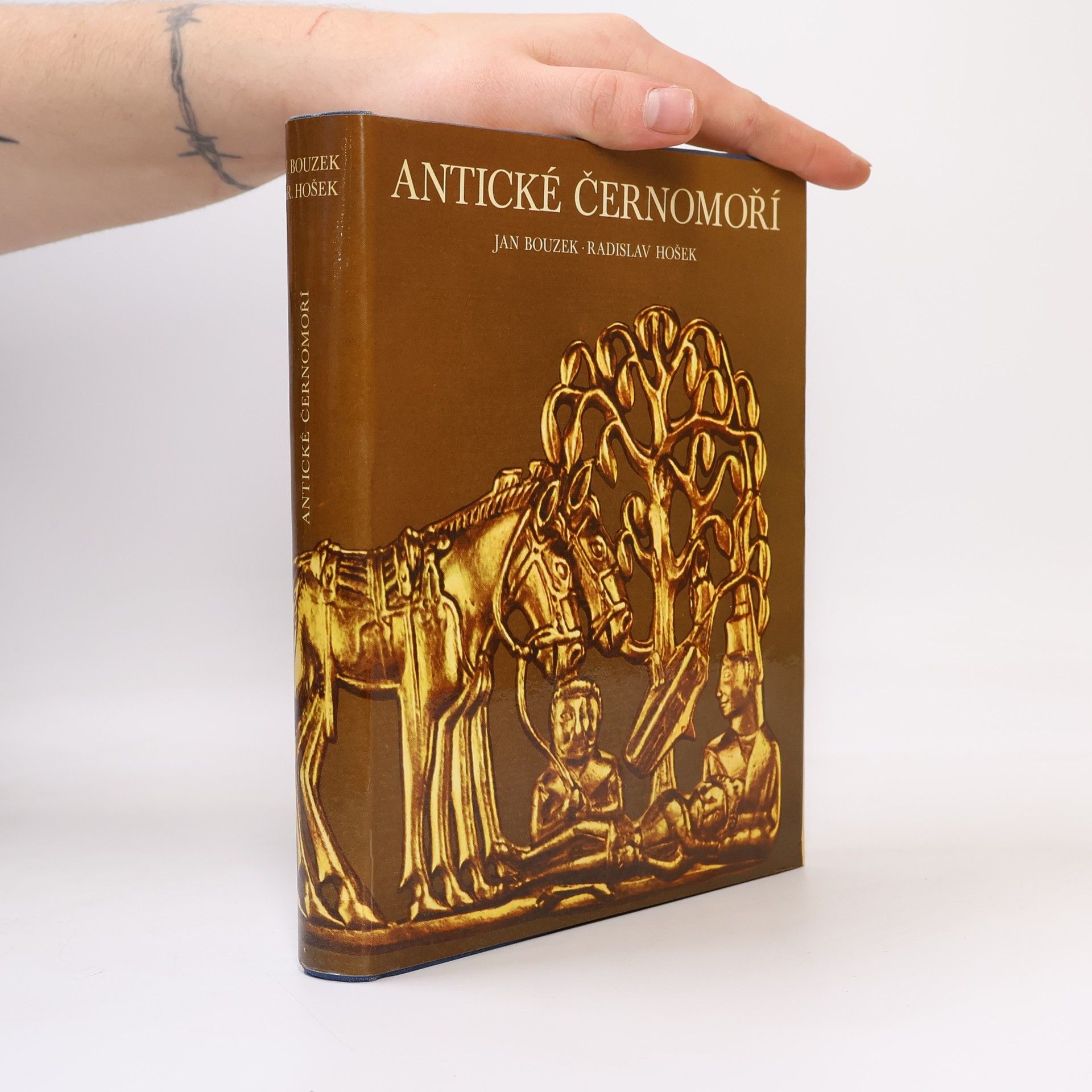 Radislav Hošek Antické Černomoří