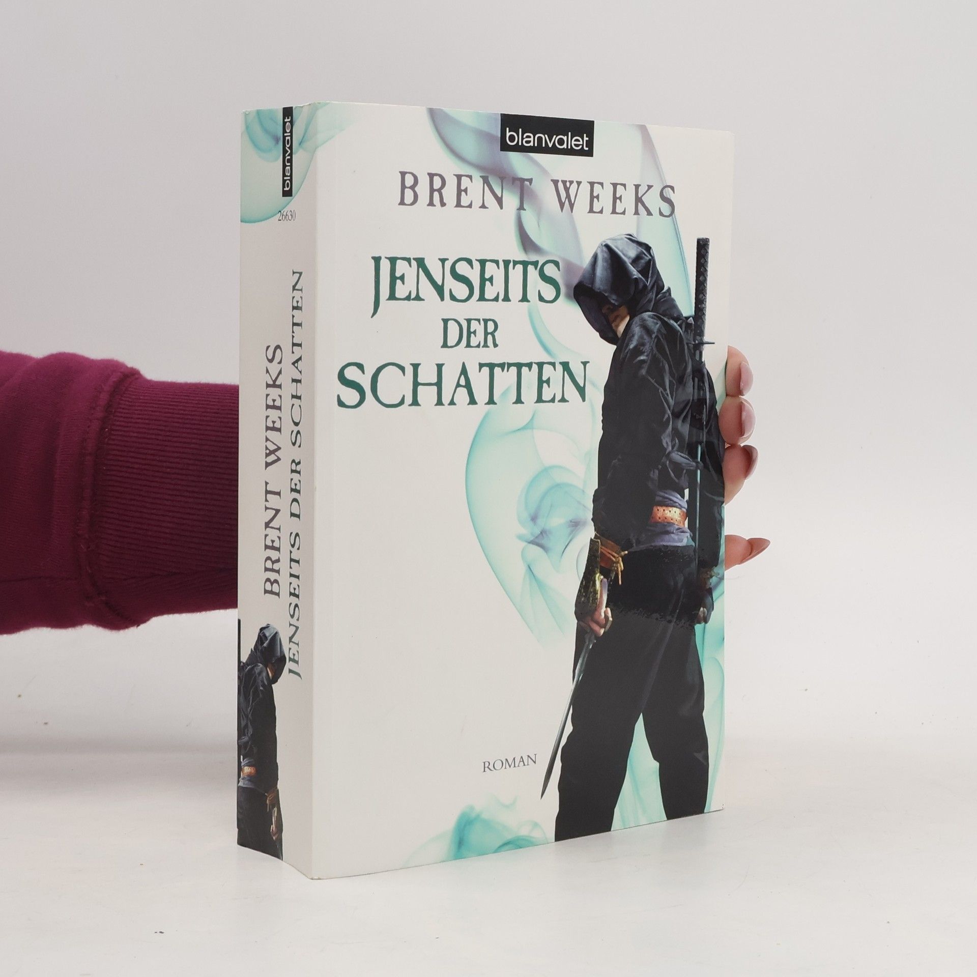 Brent Weeks Jenseits der Schatten